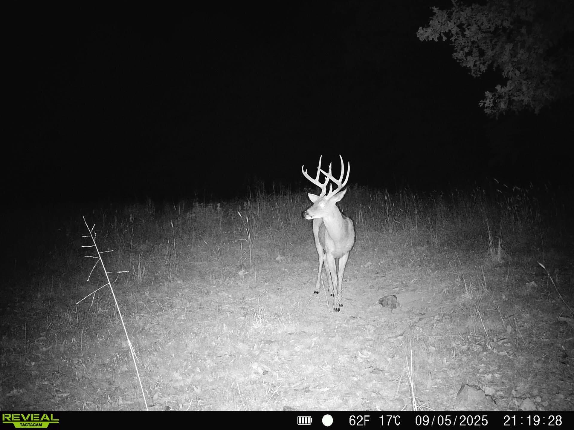 Photo 14 - Land for sale – 2112  County Road 348   Thayer, MO