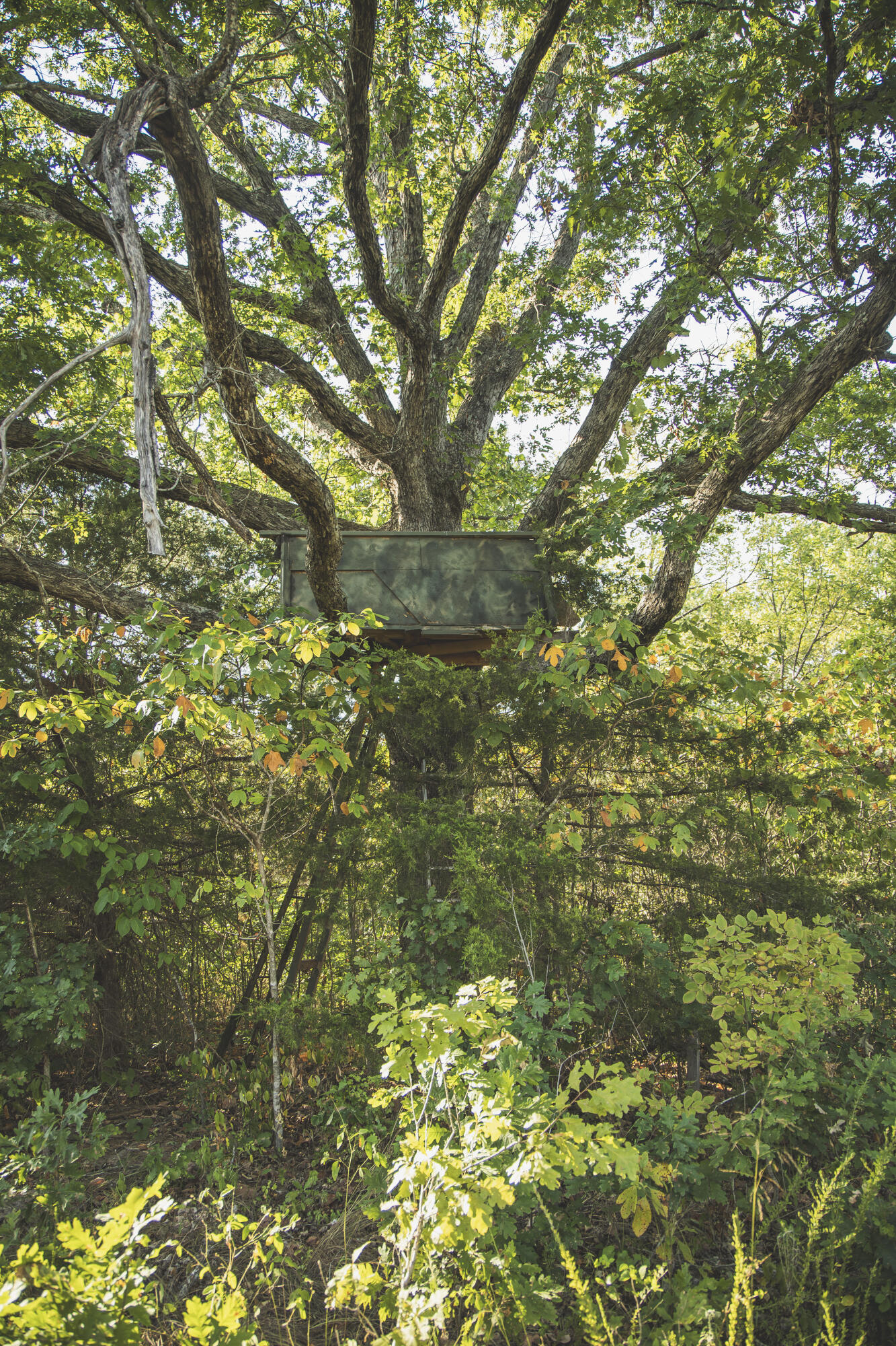Photo 62 - Land for sale – 000  Boone Hollow Rd   Powell, MO
