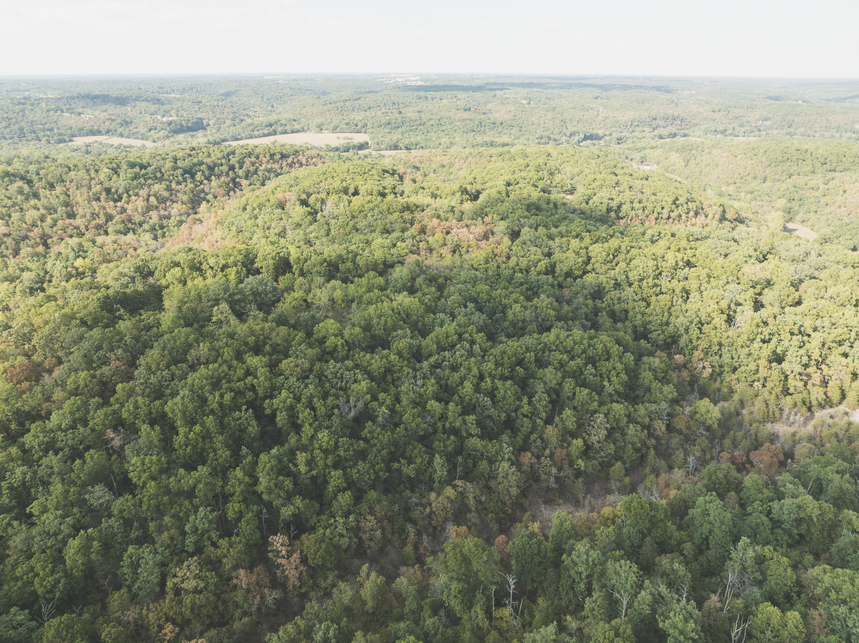 Photo 41 - Land for sale – 000  Boone Hollow Rd   Powell, MO