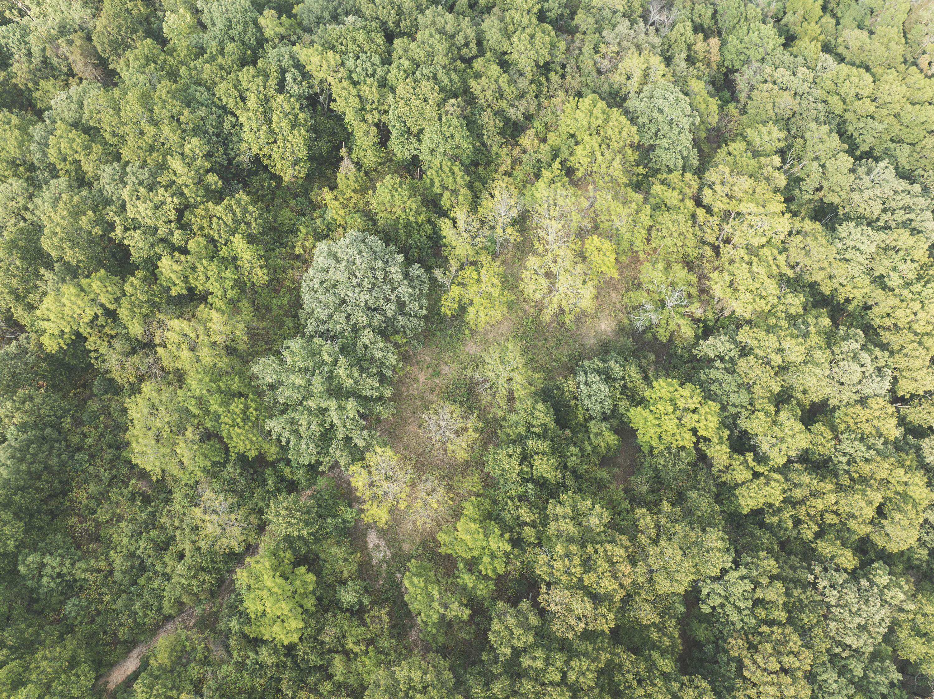 Photo 38 - Land for sale – 000  Boone Hollow Rd   Powell, MO
