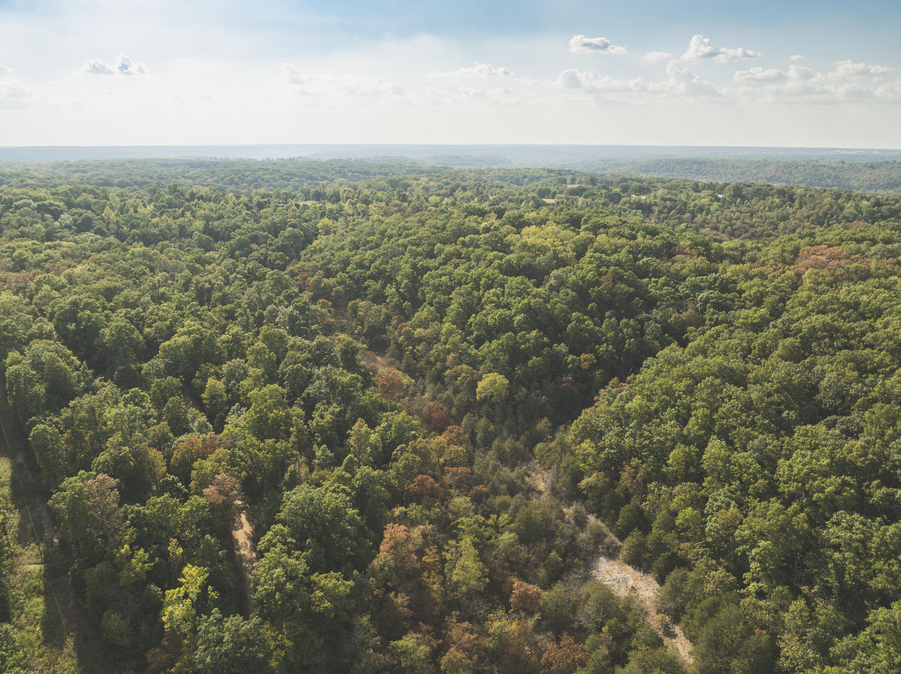 Photo 11 - Land for sale – 000  Boone Hollow Rd   Powell, MO