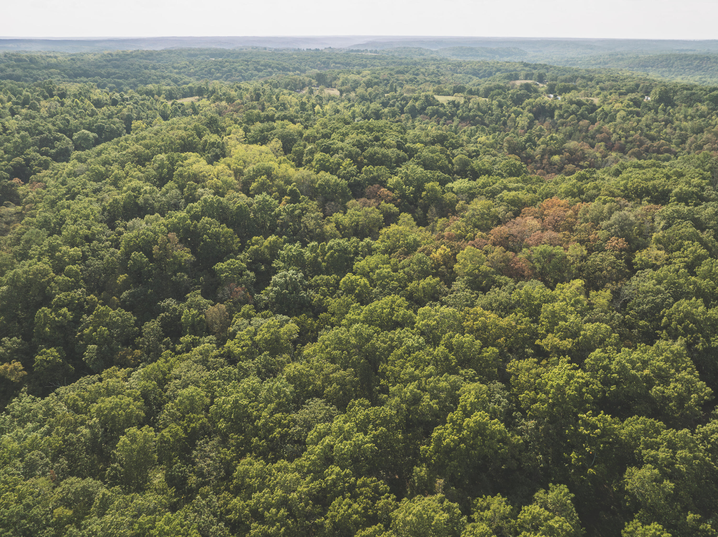 Photo 21 - Land for sale – 000  Boone Hollow Rd   Powell, MO