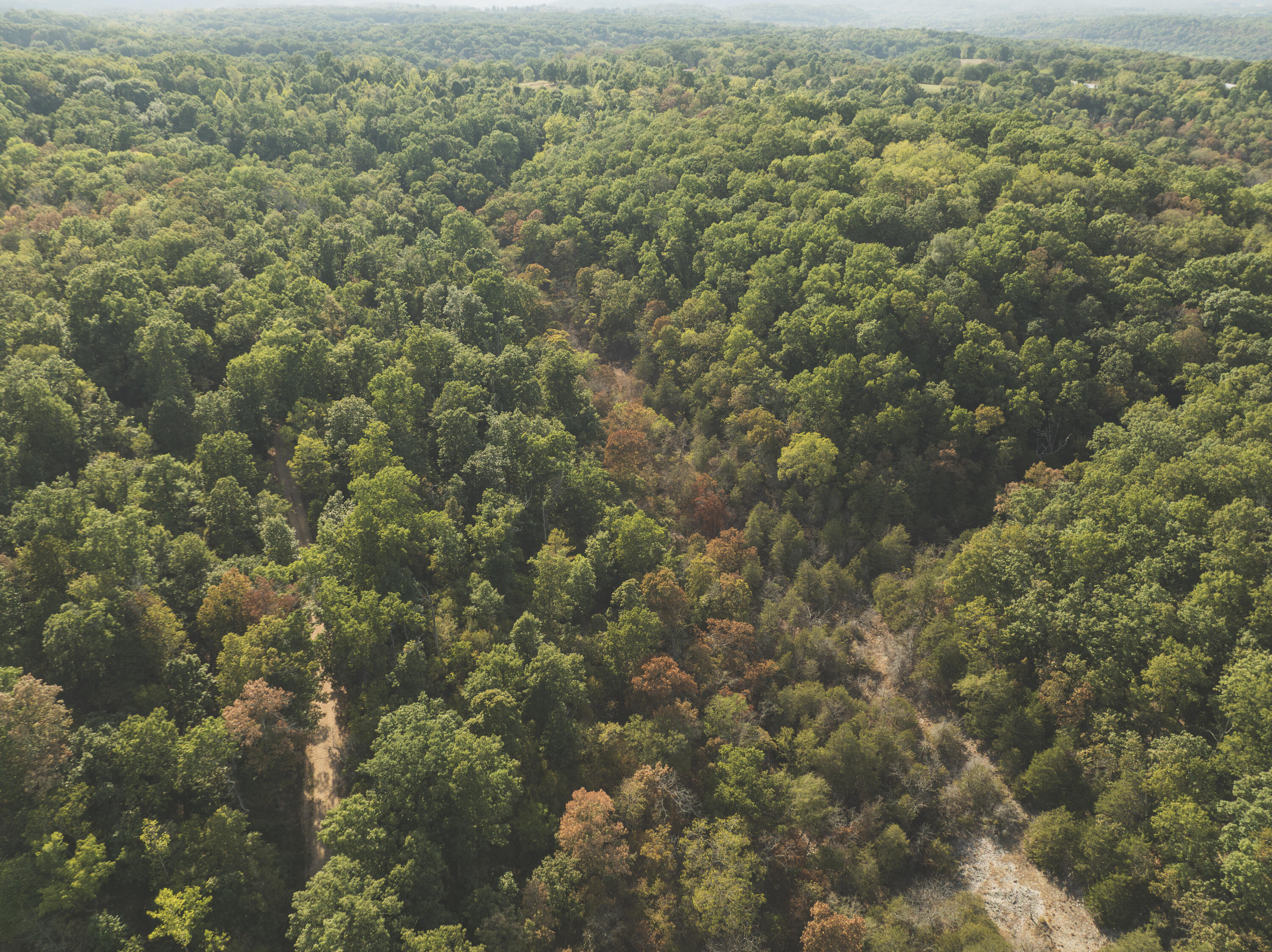 Photo 13 - Land for sale – 000  Boone Hollow Rd   Powell, MO