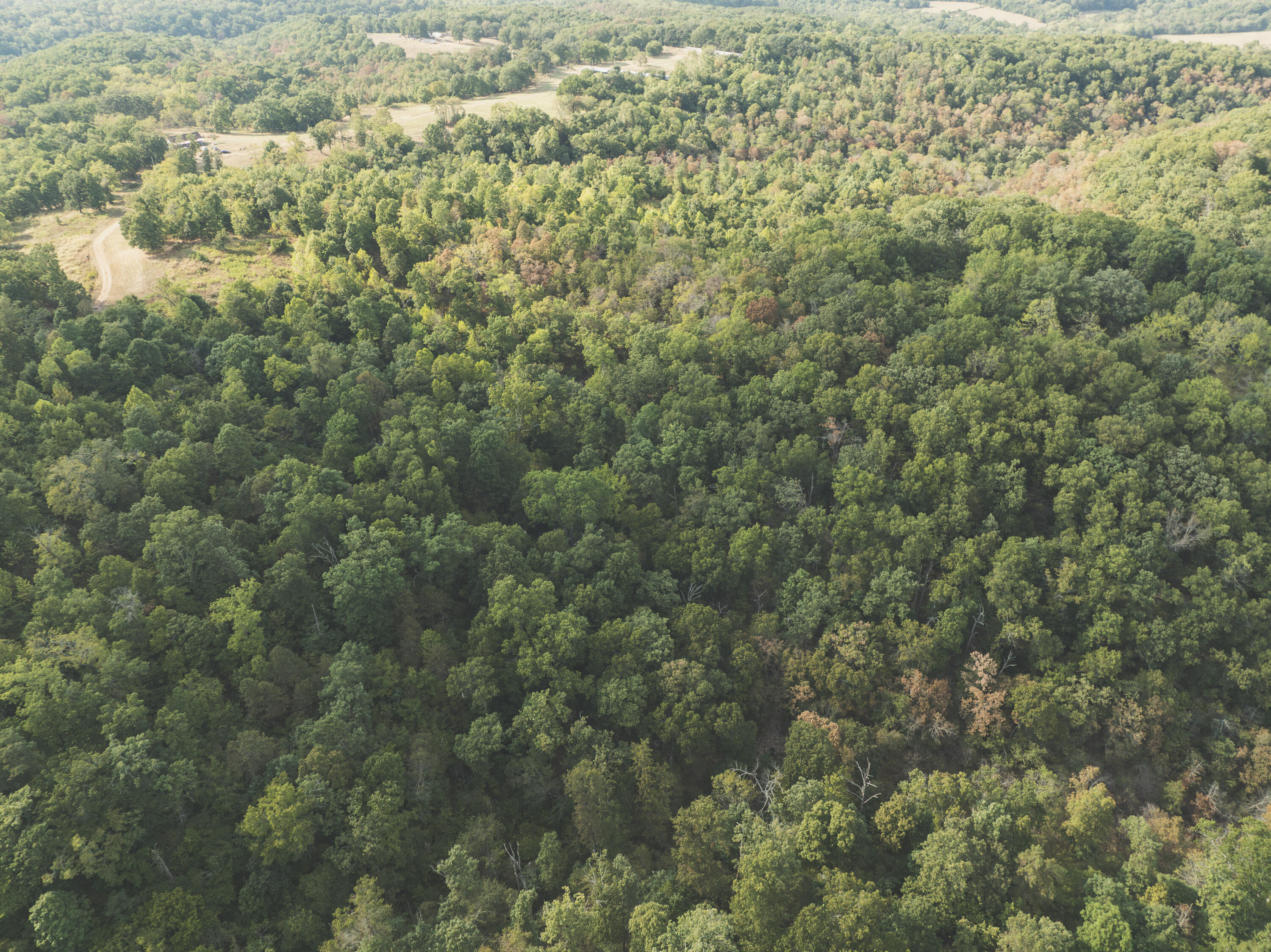 Photo 39 - Land for sale – 000  Boone Hollow Rd   Powell, MO