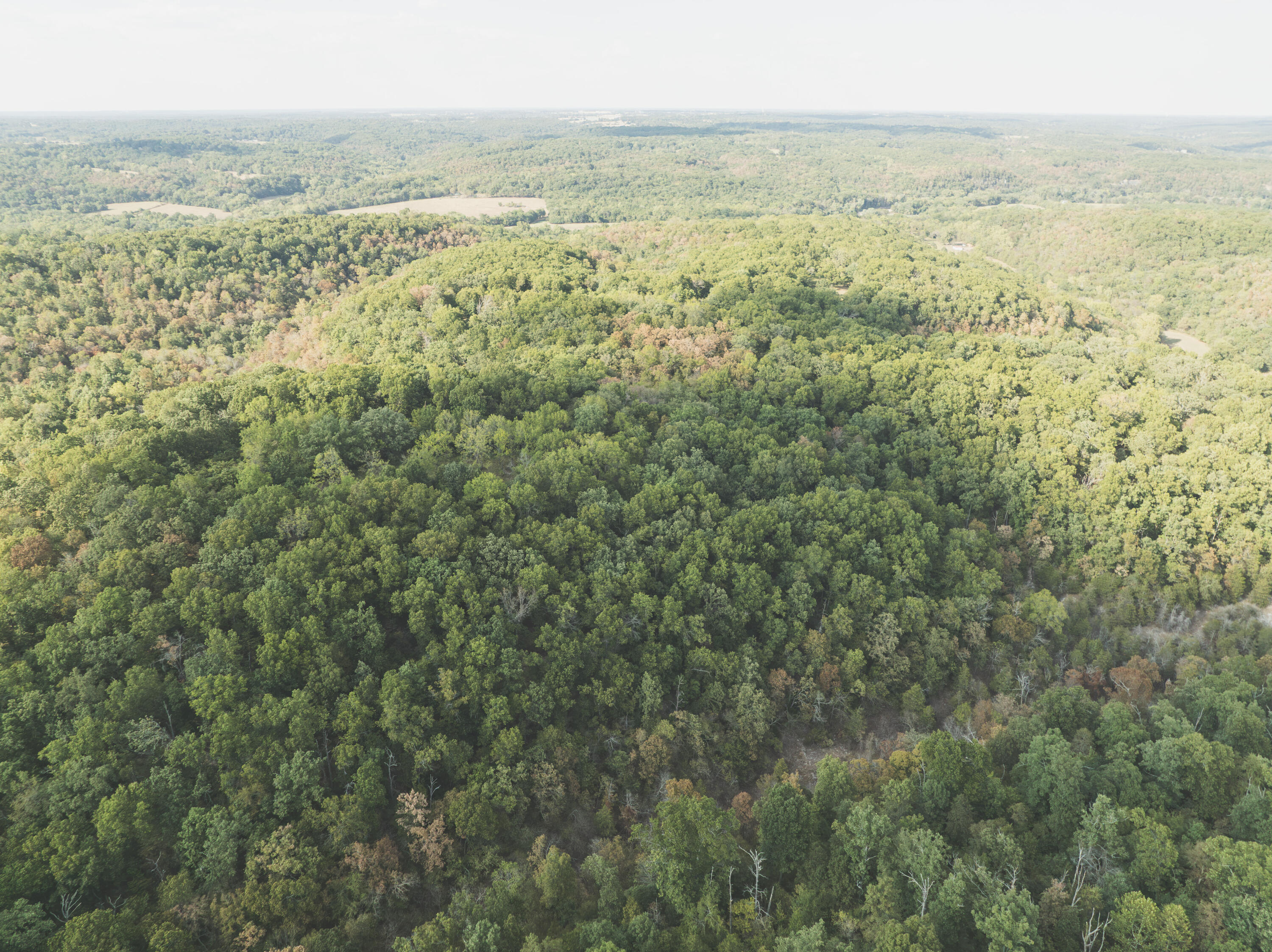 Photo 40 - Land for sale – 000  Boone Hollow Rd   Powell, MO