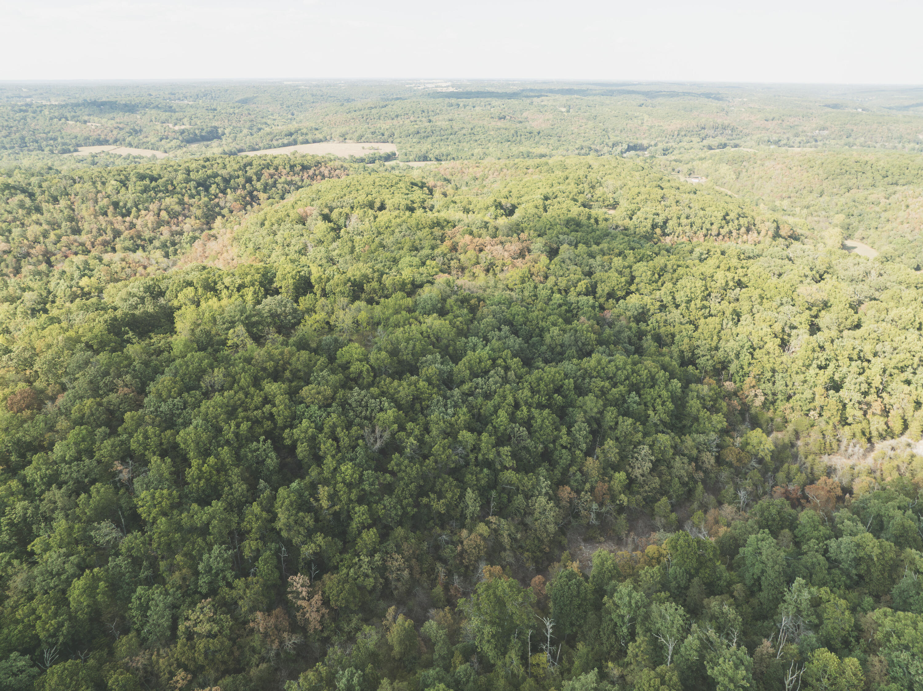 Photo 42 - Land for sale – 000  Boone Hollow Rd   Powell, MO