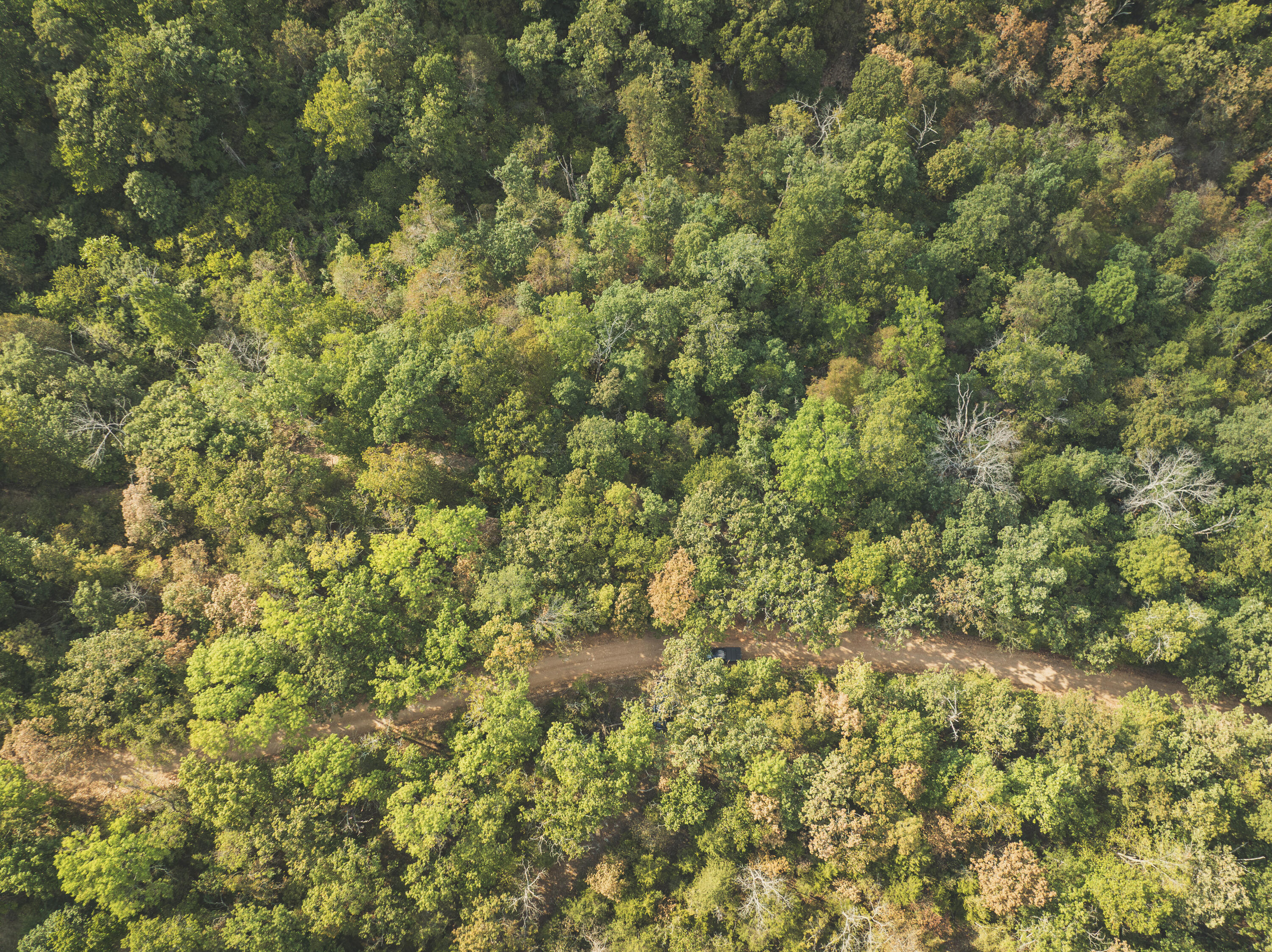 Photo 44 - Land for sale – 000  Boone Hollow Rd   Powell, MO