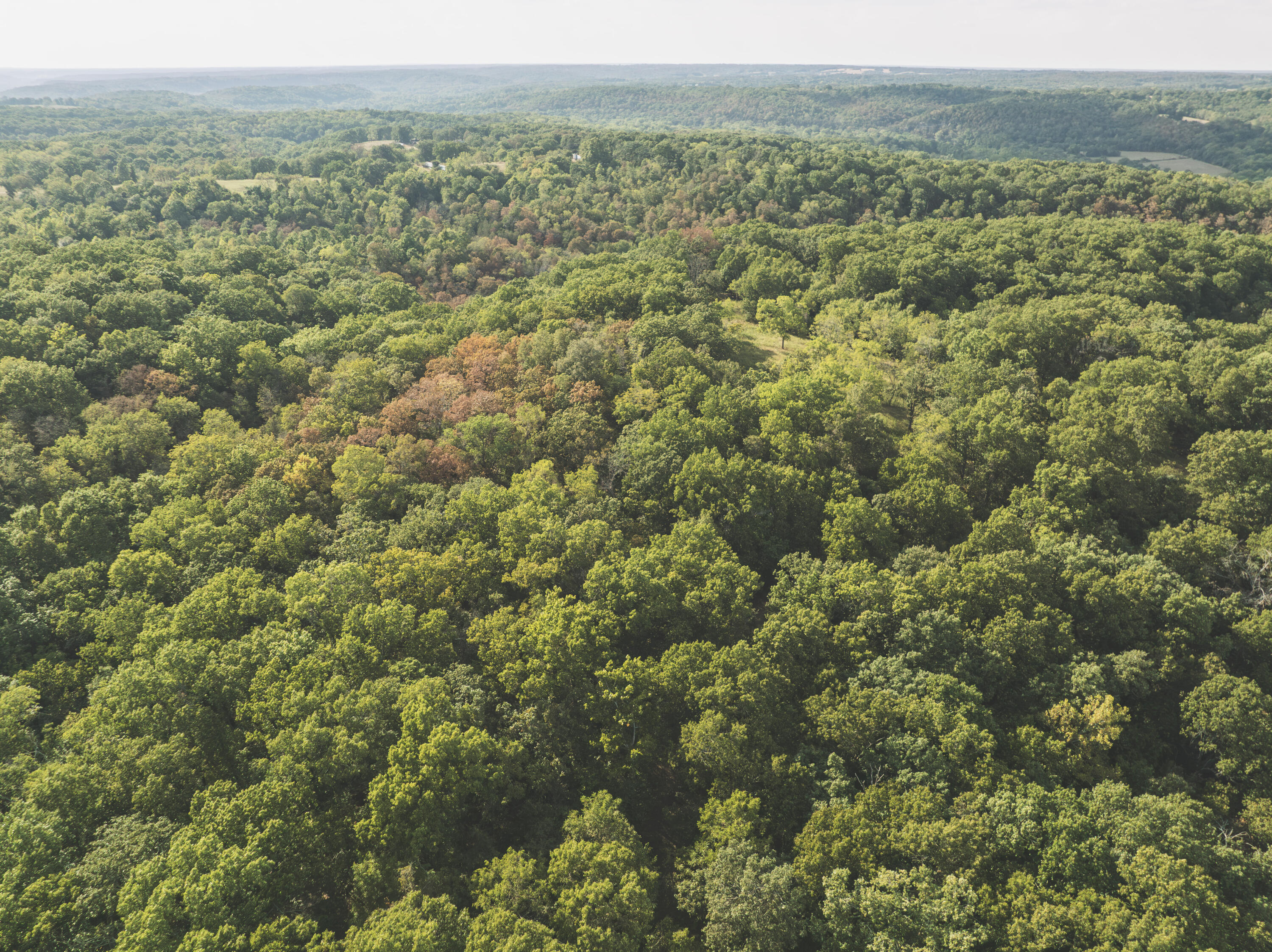 Photo 22 - Land for sale – 000  Boone Hollow Rd   Powell, MO