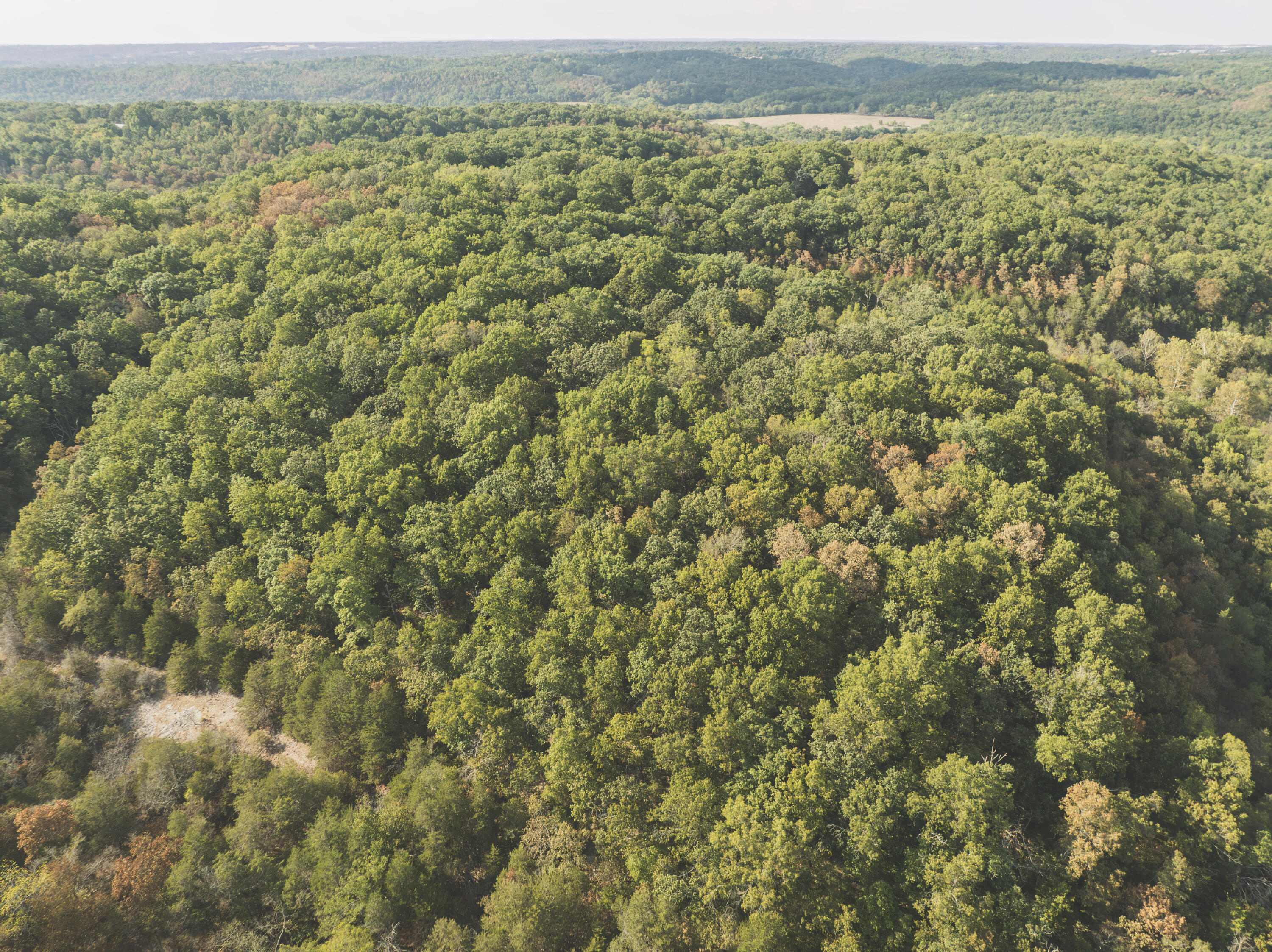 Photo 9 - Land for sale – 000  Boone Hollow Rd   Powell, MO