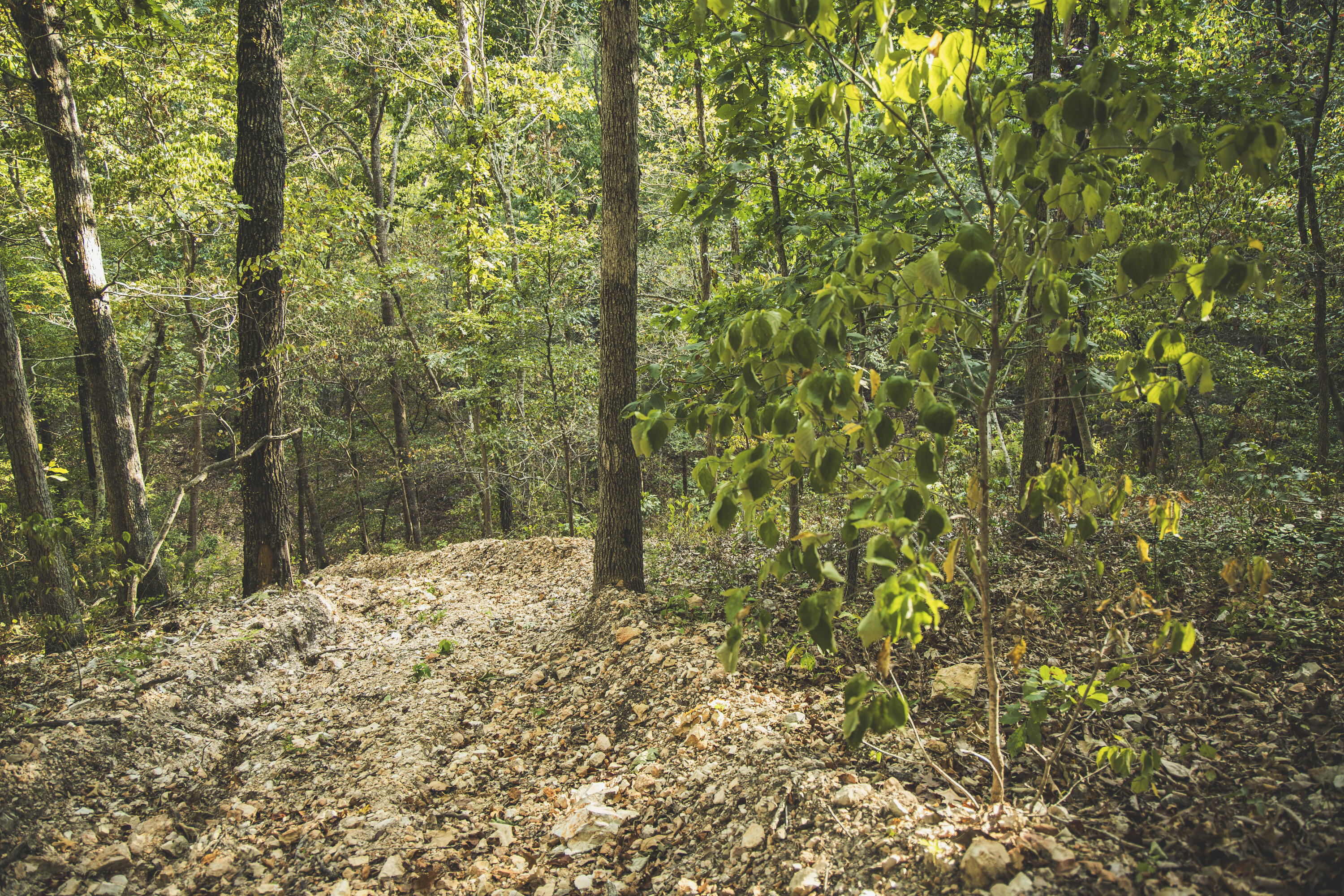 Photo 49 - Land for sale – 000  Boone Hollow Rd   Powell, MO