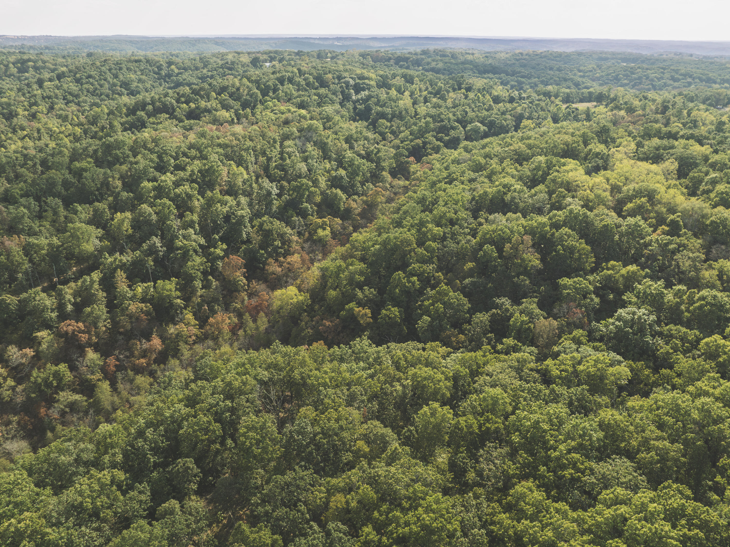 Photo 20 - Land for sale – 000  Boone Hollow Rd   Powell, MO