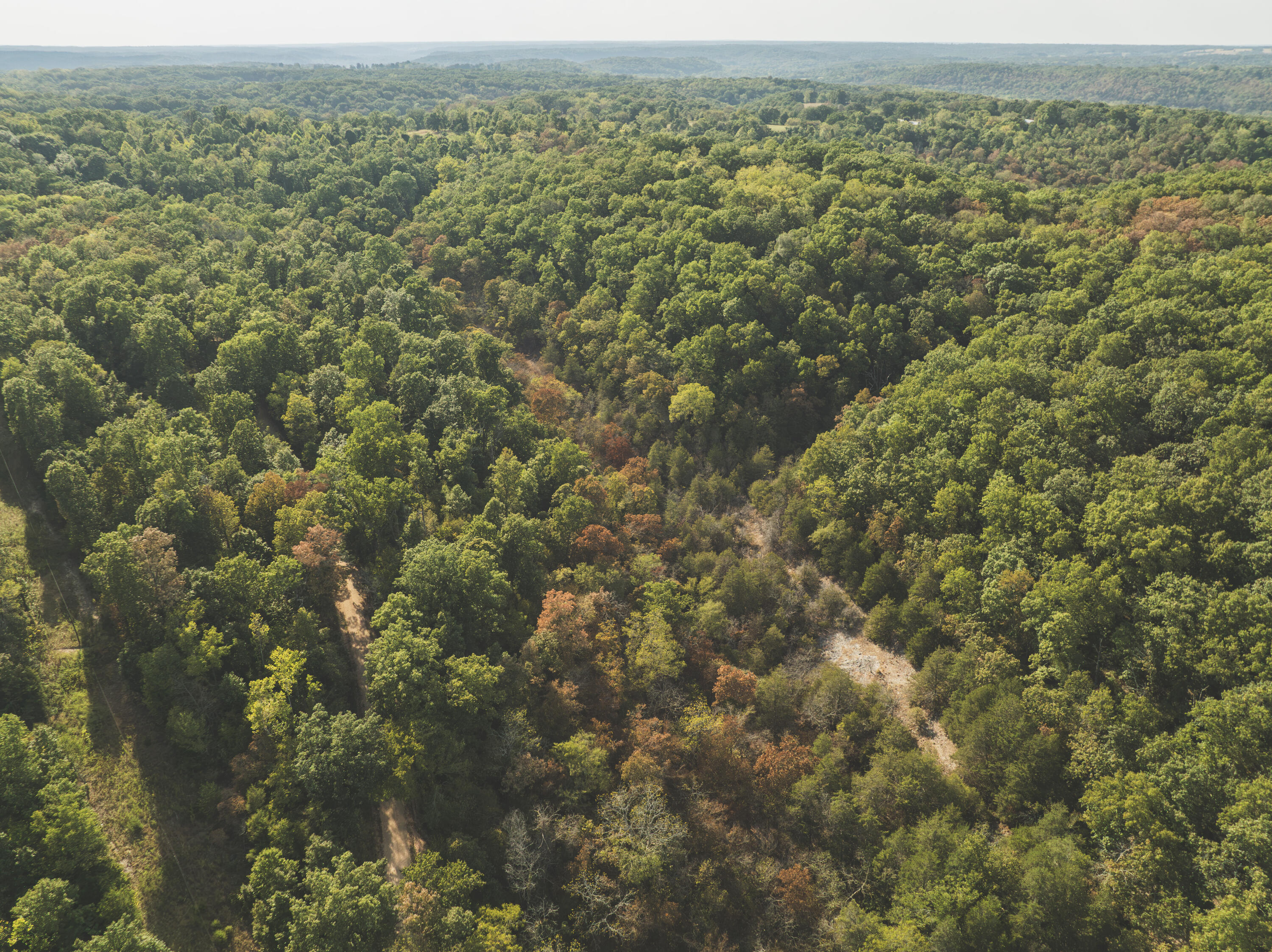 Photo 10 - Land for sale – 000  Boone Hollow Rd   Powell, MO