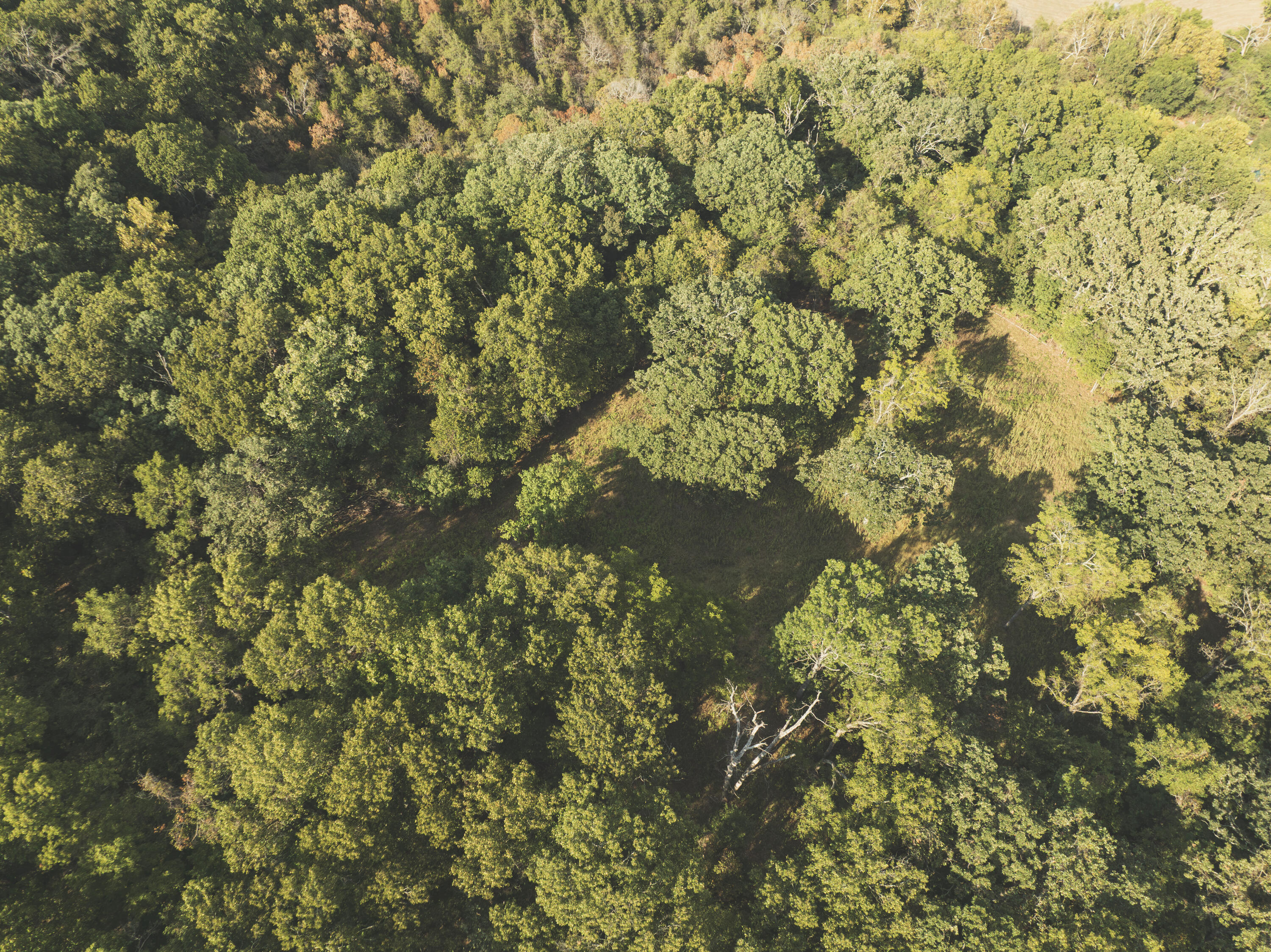 Photo 27 - Land for sale – 000  Boone Hollow Rd   Powell, MO