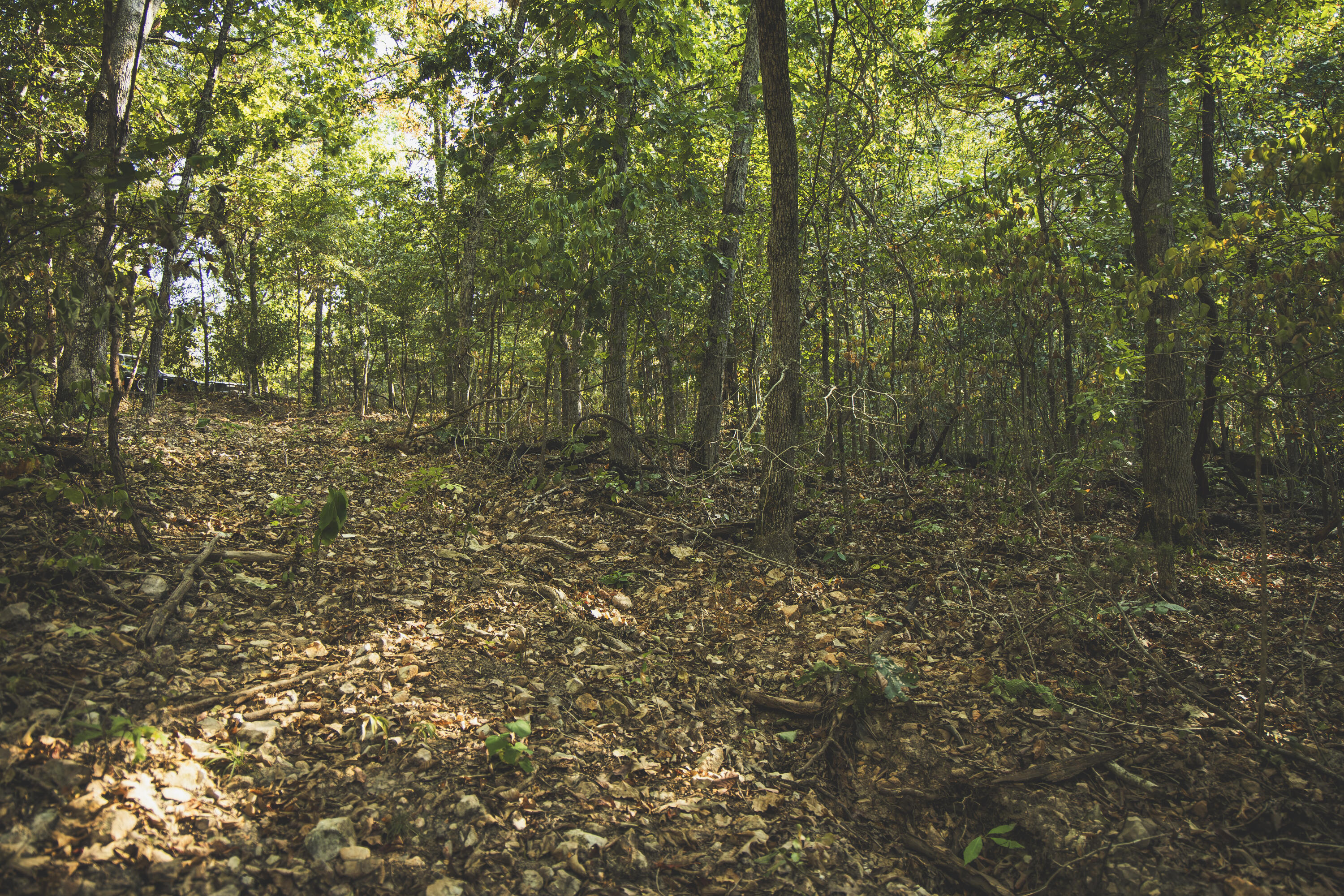 Photo 45 - Land for sale – 000  Boone Hollow Rd   Powell, MO