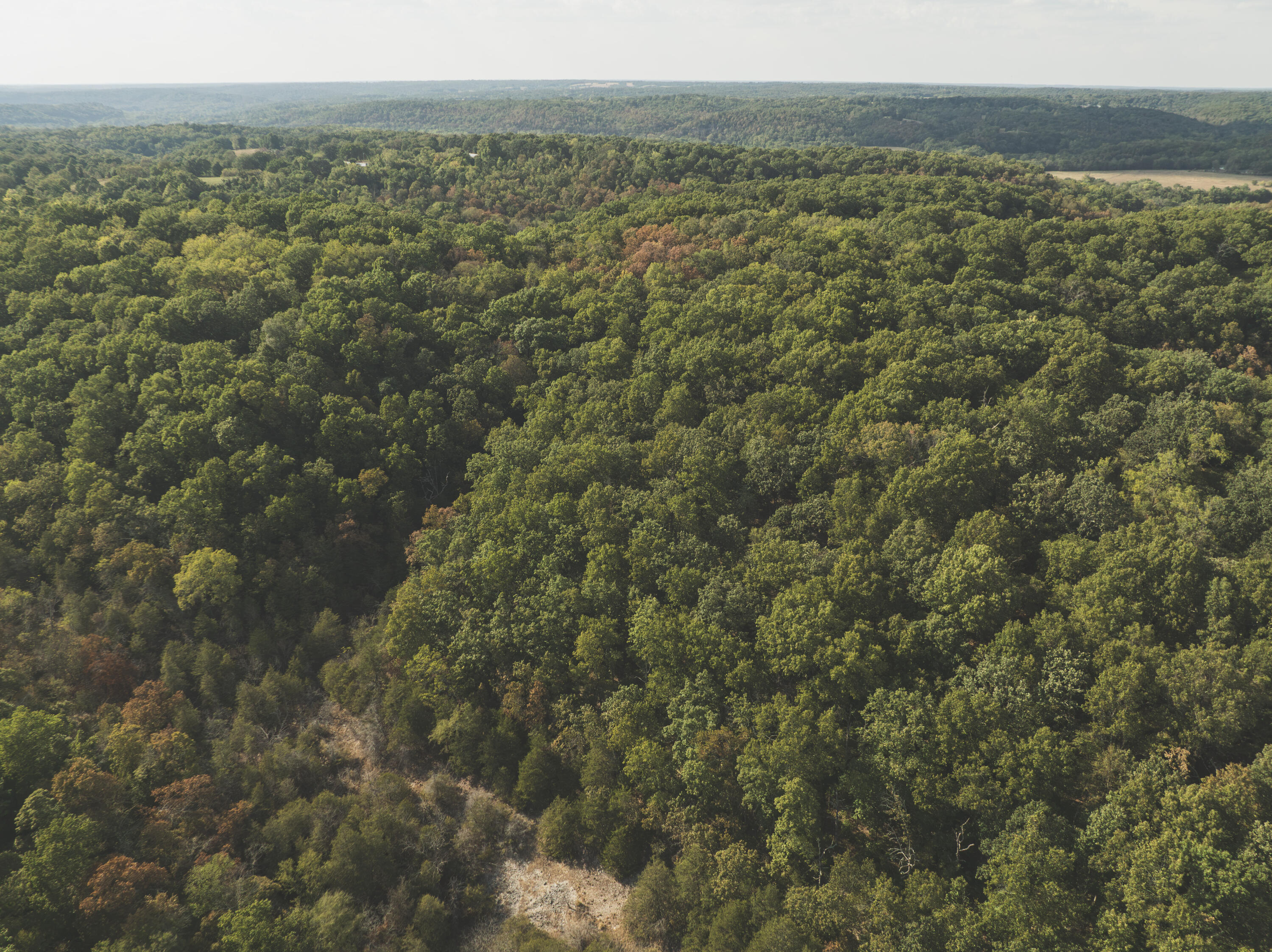 Photo 12 - Land for sale – 000  Boone Hollow Rd   Powell, MO