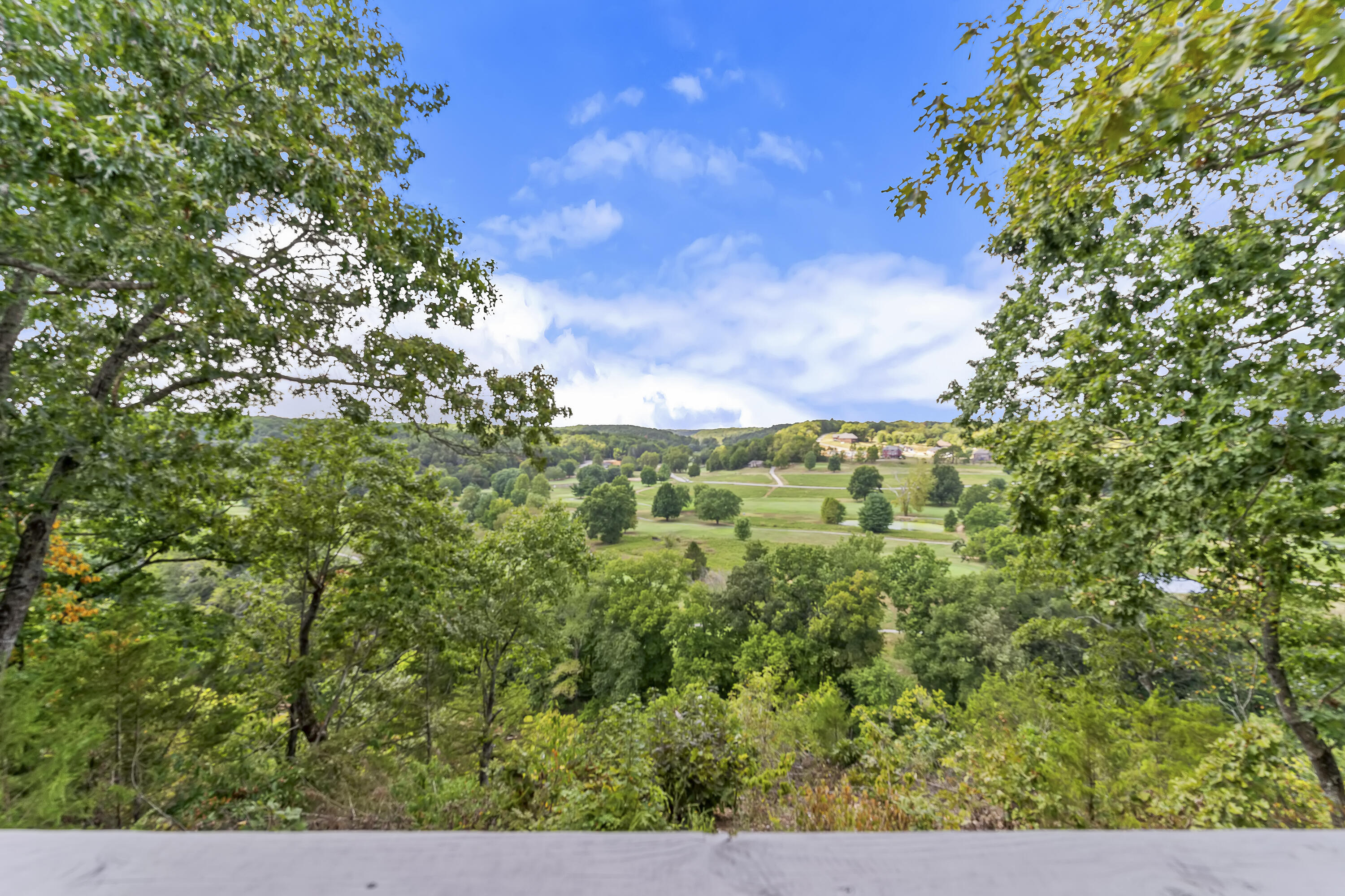 Photo 28 - Farm for sale – 740  Russel Ridge Road  Nixa, MO