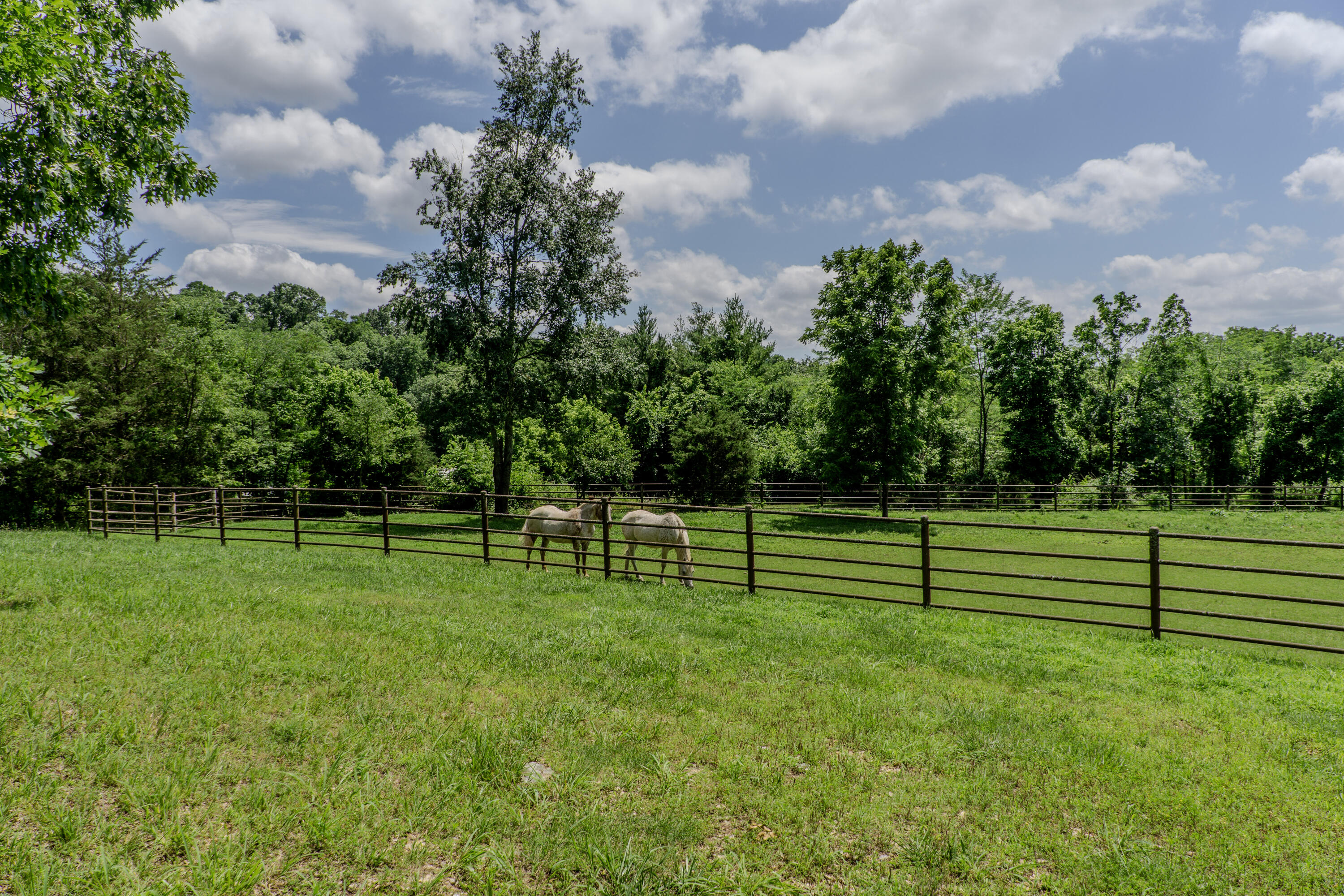 Photo 74 - Farm for sale – 740  Russel Ridge Road  Nixa, MO
