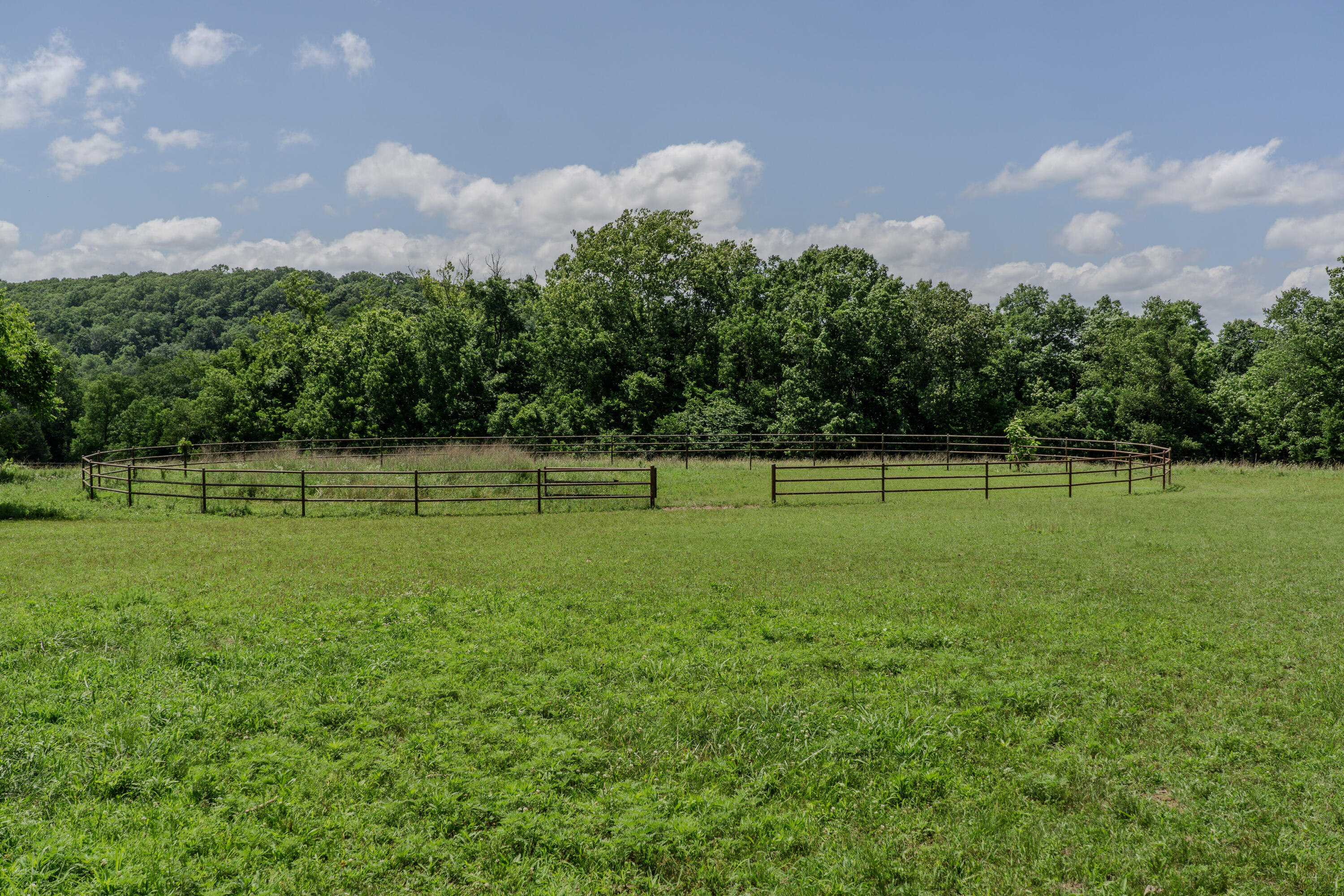 Photo 76 - Farm for sale – 740  Russel Ridge Road  Nixa, MO