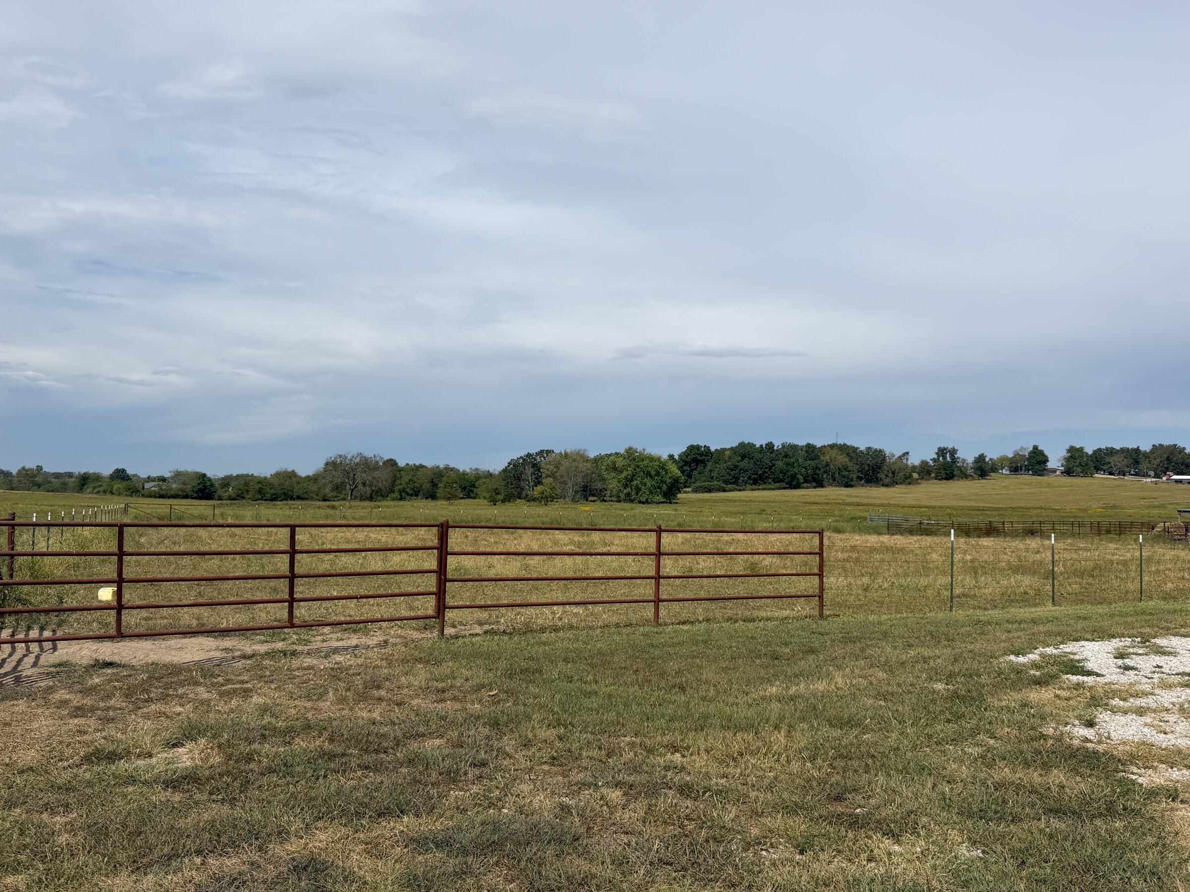 Photo 60 - Residential for sale – 1869  Wall Road  Mountain Grove, MO