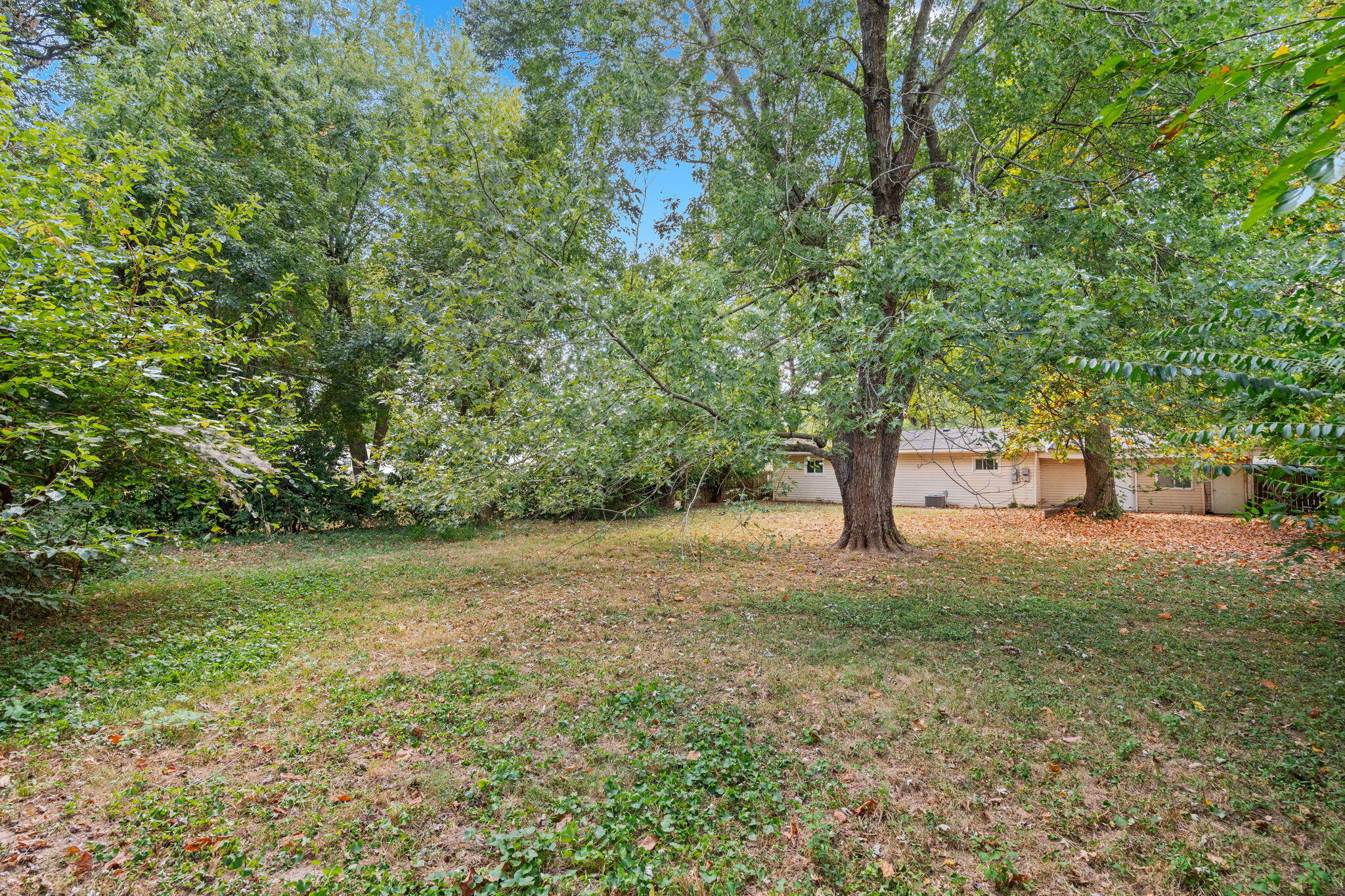 Photo 37 - Residential Lease for sale – 442 S Monte Vista Avenue  Springfield, MO