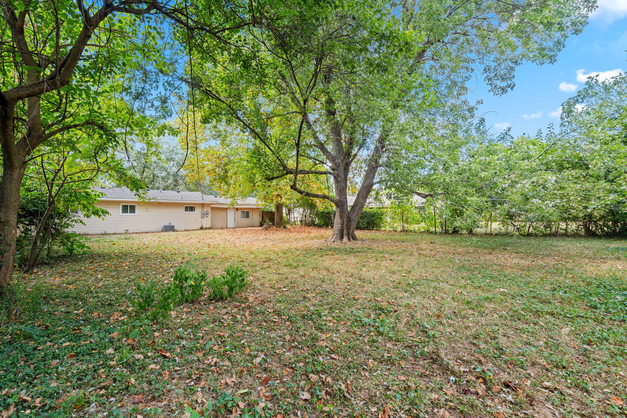Photo 35 - Residential Lease for sale – 442 S Monte Vista Avenue  Springfield, MO