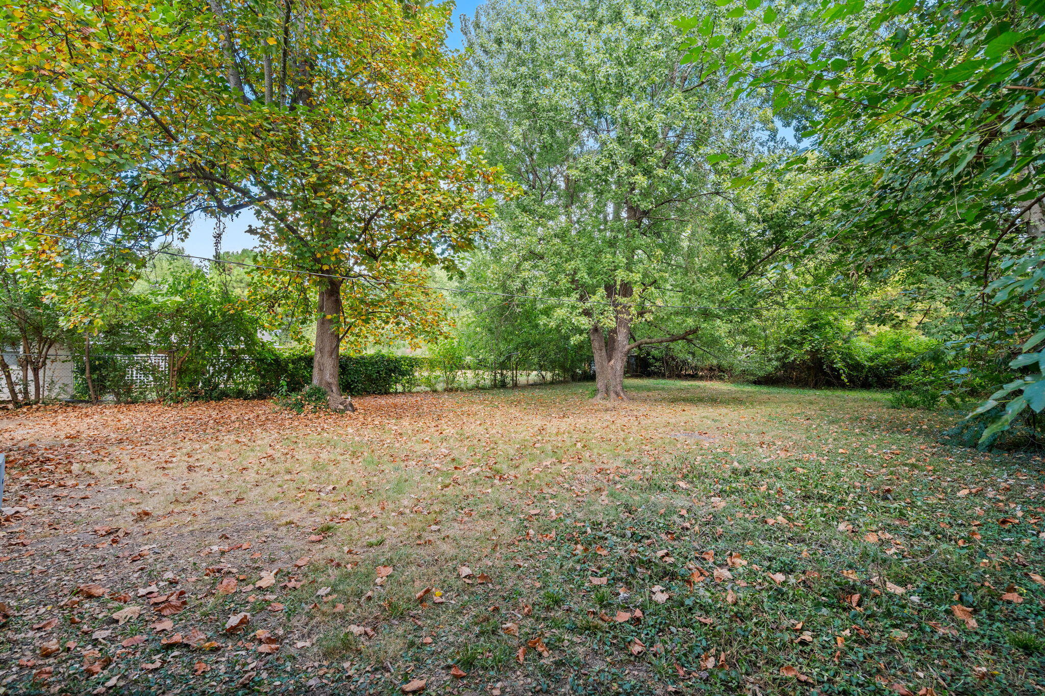 Photo 34 - Residential Lease for sale – 442 S Monte Vista Avenue  Springfield, MO