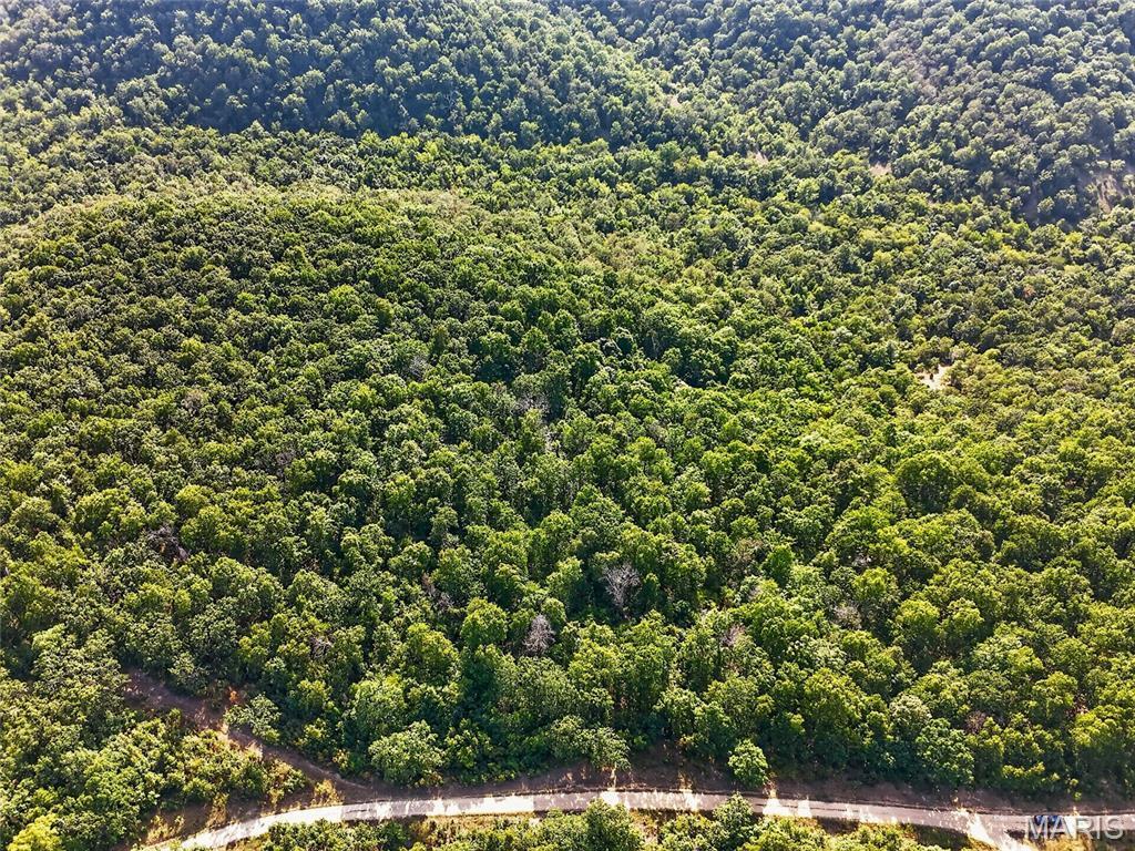 Photo 3 - Land for sale – 30173  Mauka Drive  Lebanon, MO