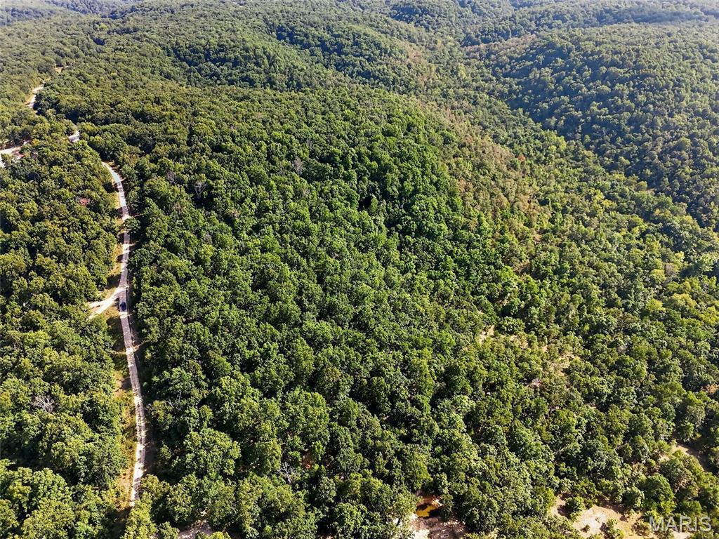 Photo 5 - Land for sale – 30173  Mauka Drive  Lebanon, MO