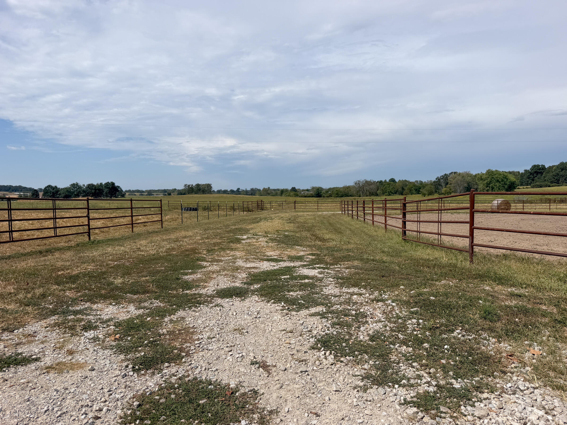 Photo 58 - Farm for sale – 1869  Wall Road  Mountain Grove, MO