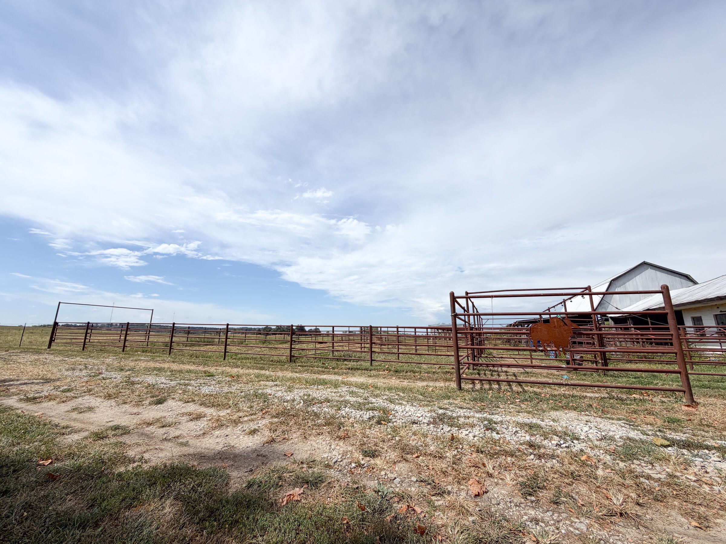 Photo 49 - Farm for sale – 1869  Wall Road  Mountain Grove, MO