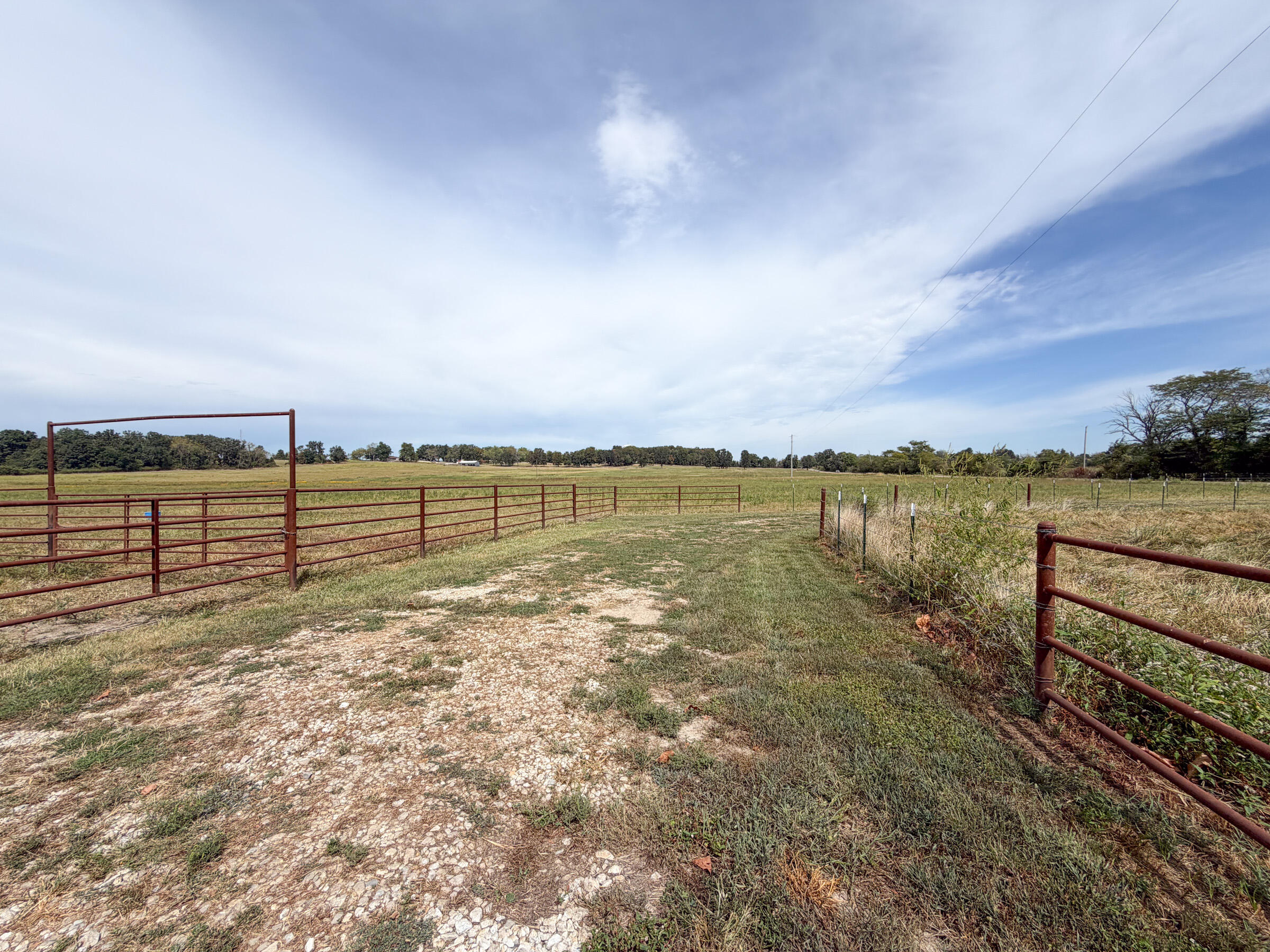 Photo 46 - Farm for sale – 1869  Wall Road  Mountain Grove, MO