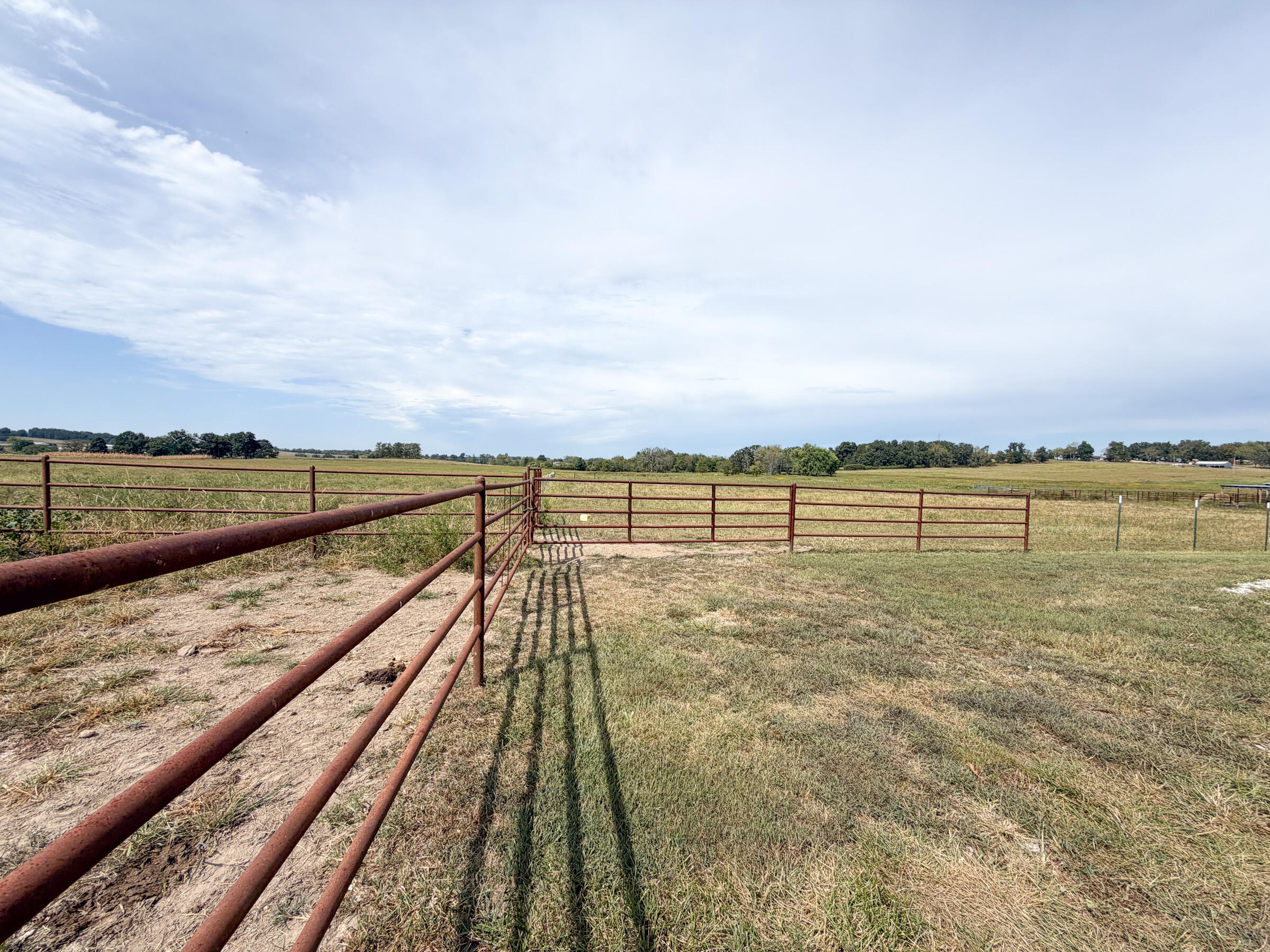 Photo 53 - Farm for sale – 1869  Wall Road  Mountain Grove, MO
