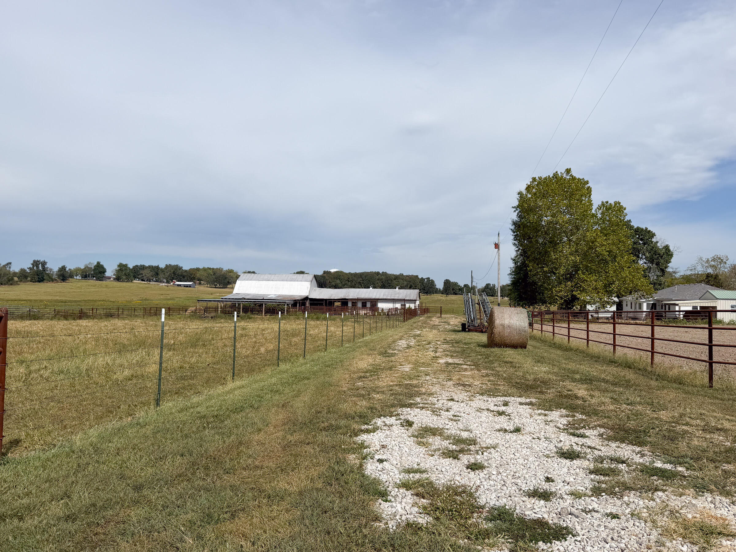 Photo 61 - Farm for sale – 1869  Wall Road  Mountain Grove, MO
