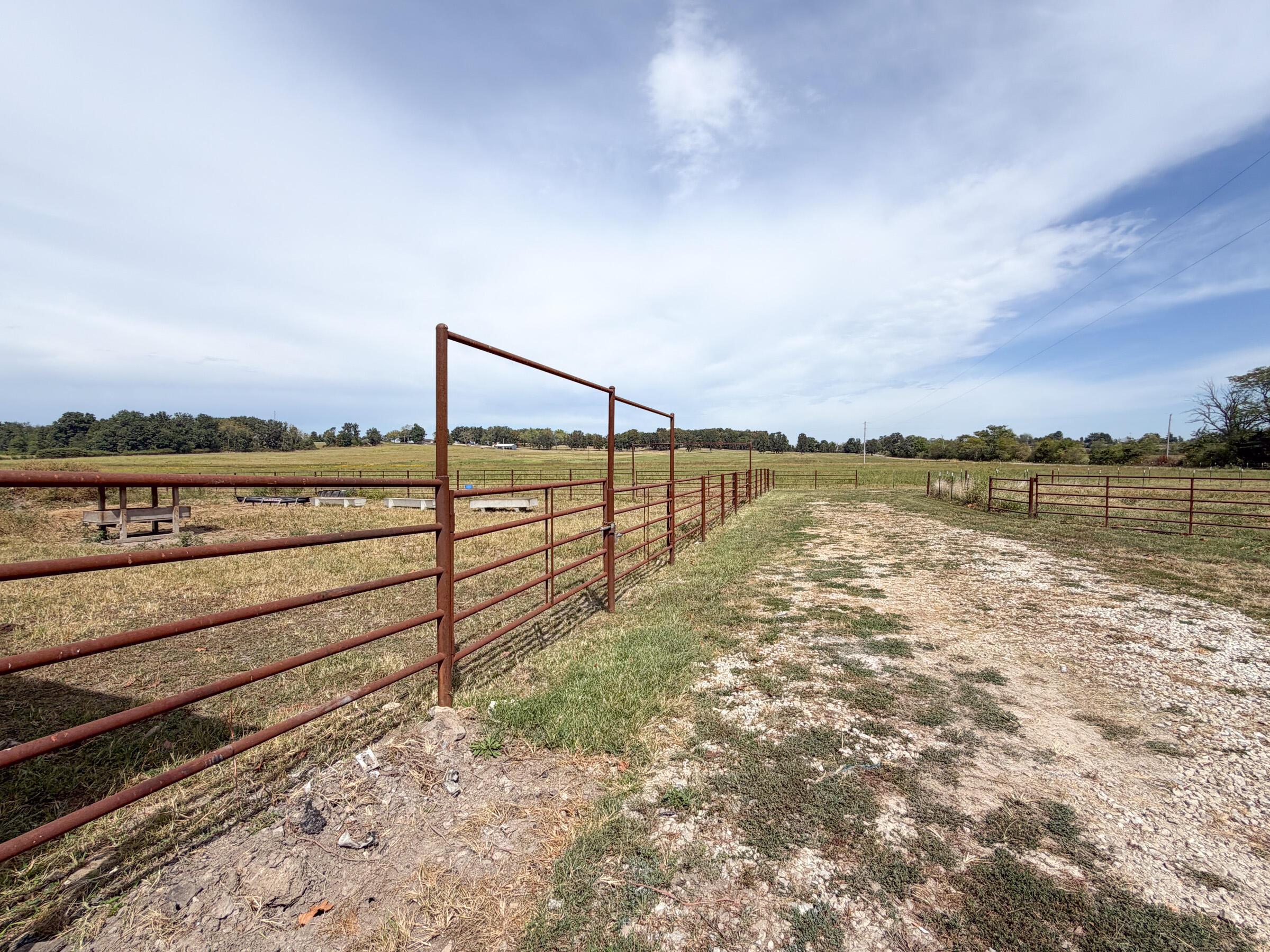 Photo 47 - Farm for sale – 1869  Wall Road  Mountain Grove, MO