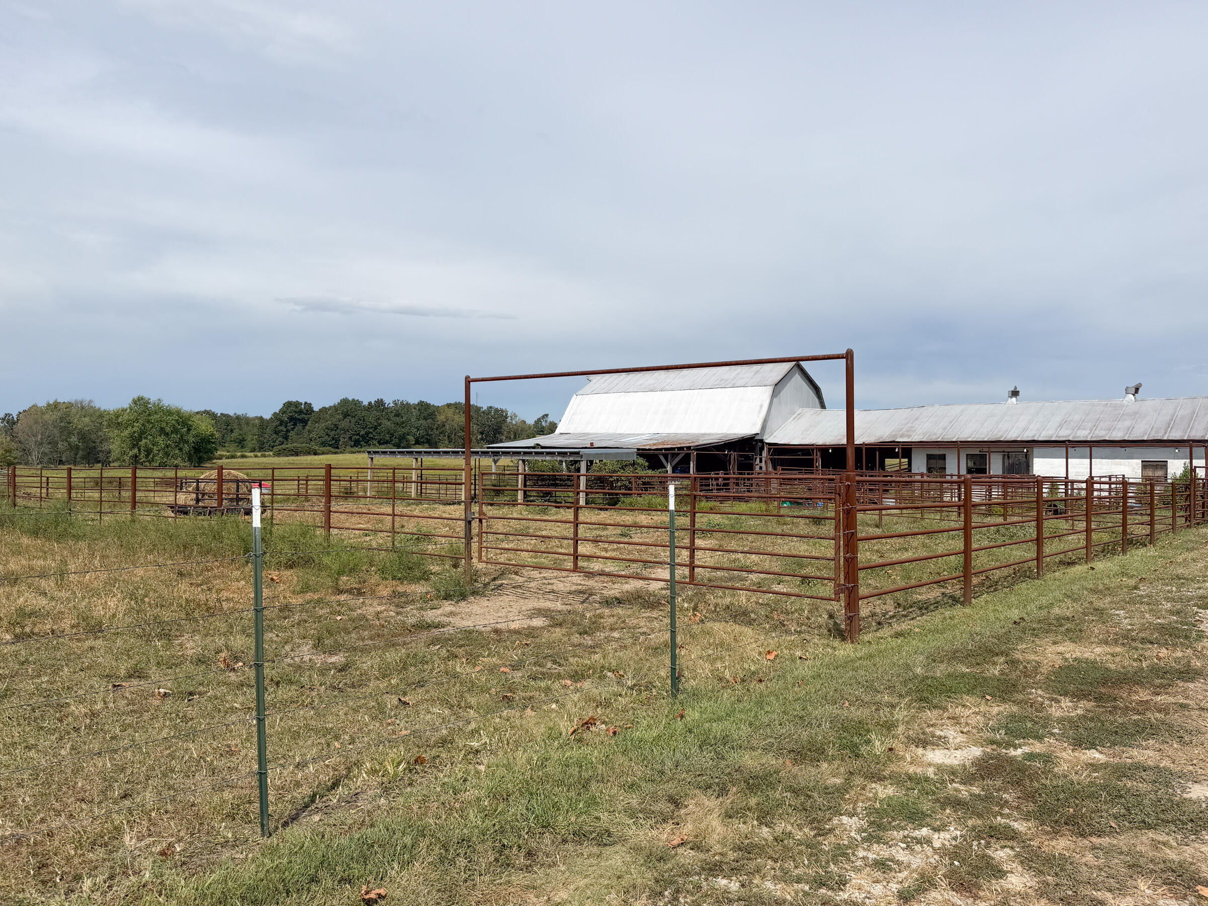 Photo 3 - Farm for sale – 1869  Wall Road  Mountain Grove, MO