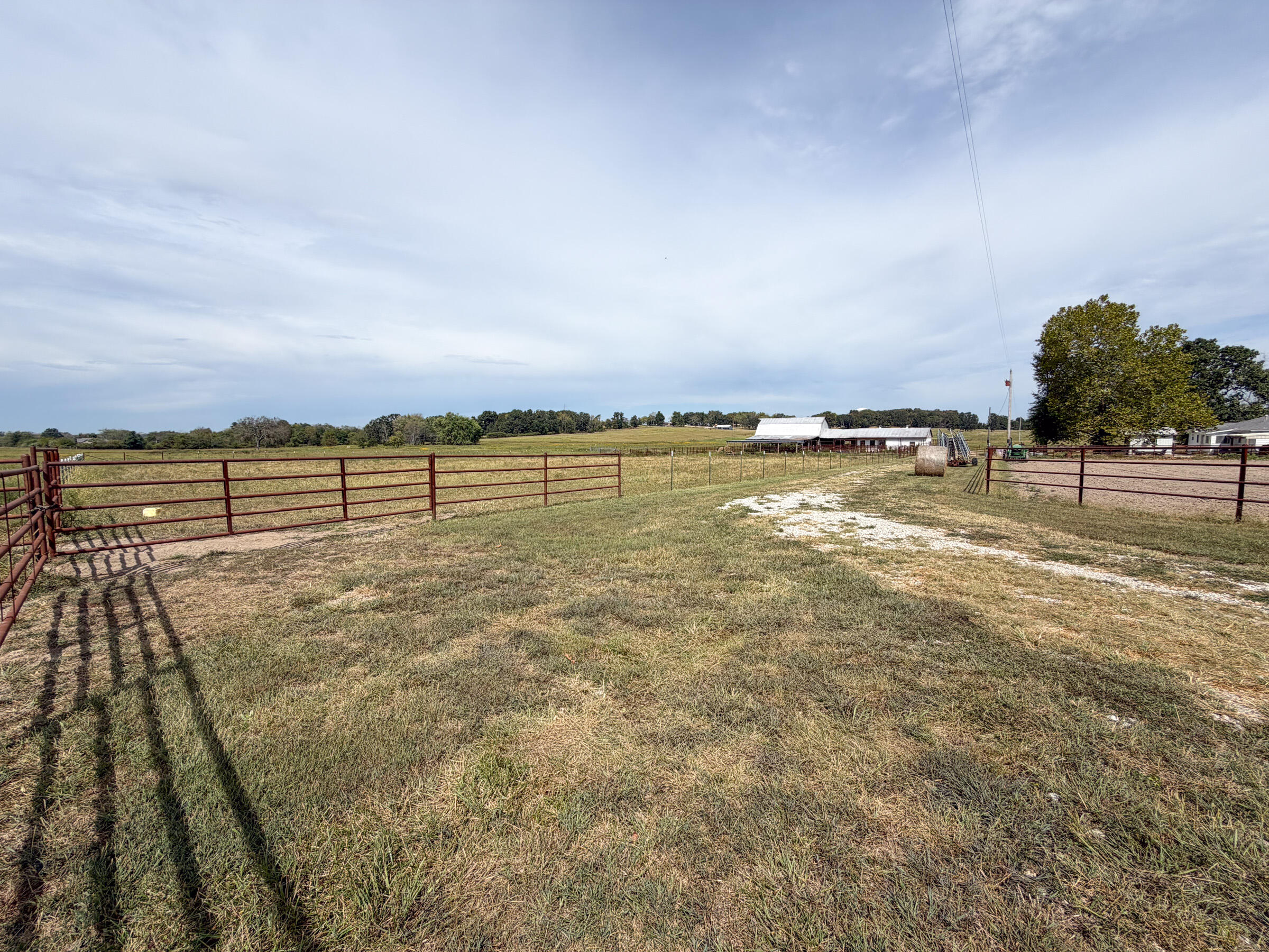 Photo 54 - Farm for sale – 1869  Wall Road  Mountain Grove, MO