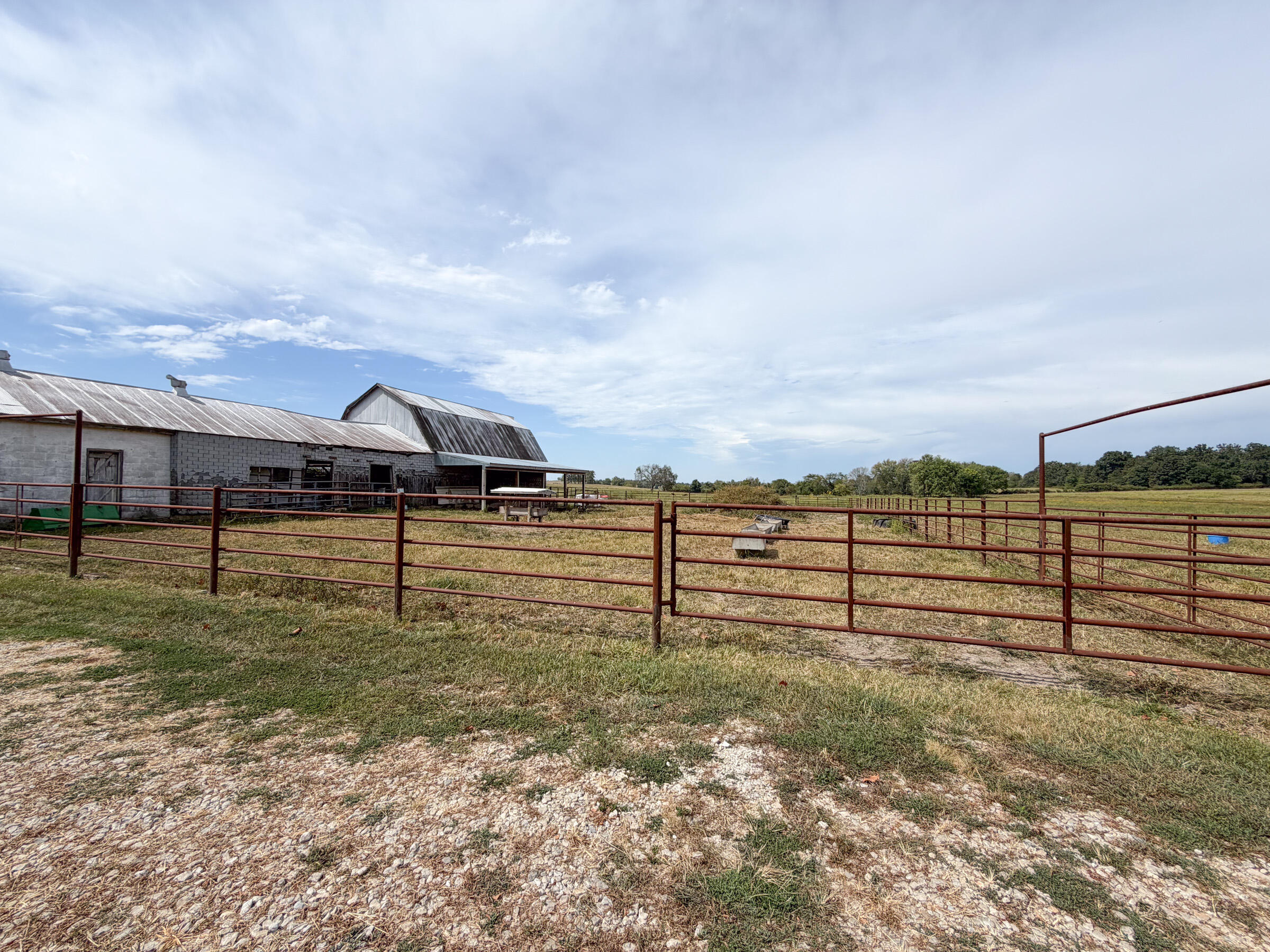 Photo 45 - Farm for sale – 1869  Wall Road  Mountain Grove, MO
