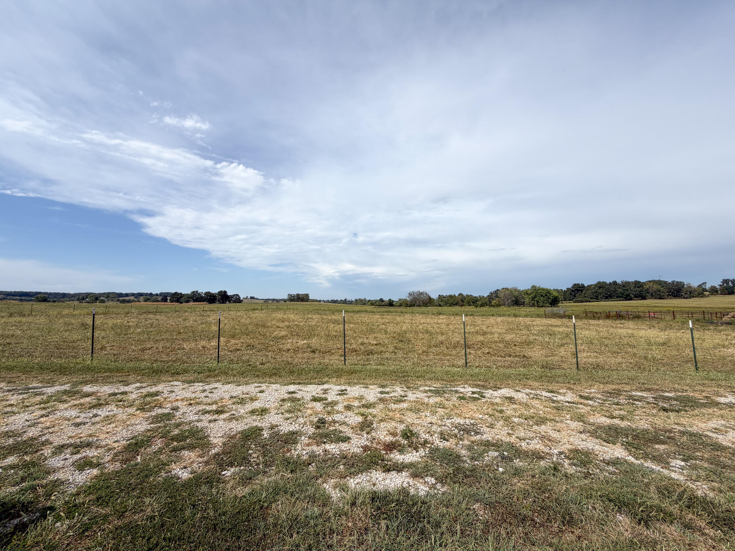 Photo 51 - Farm for sale – 1869  Wall Road  Mountain Grove, MO