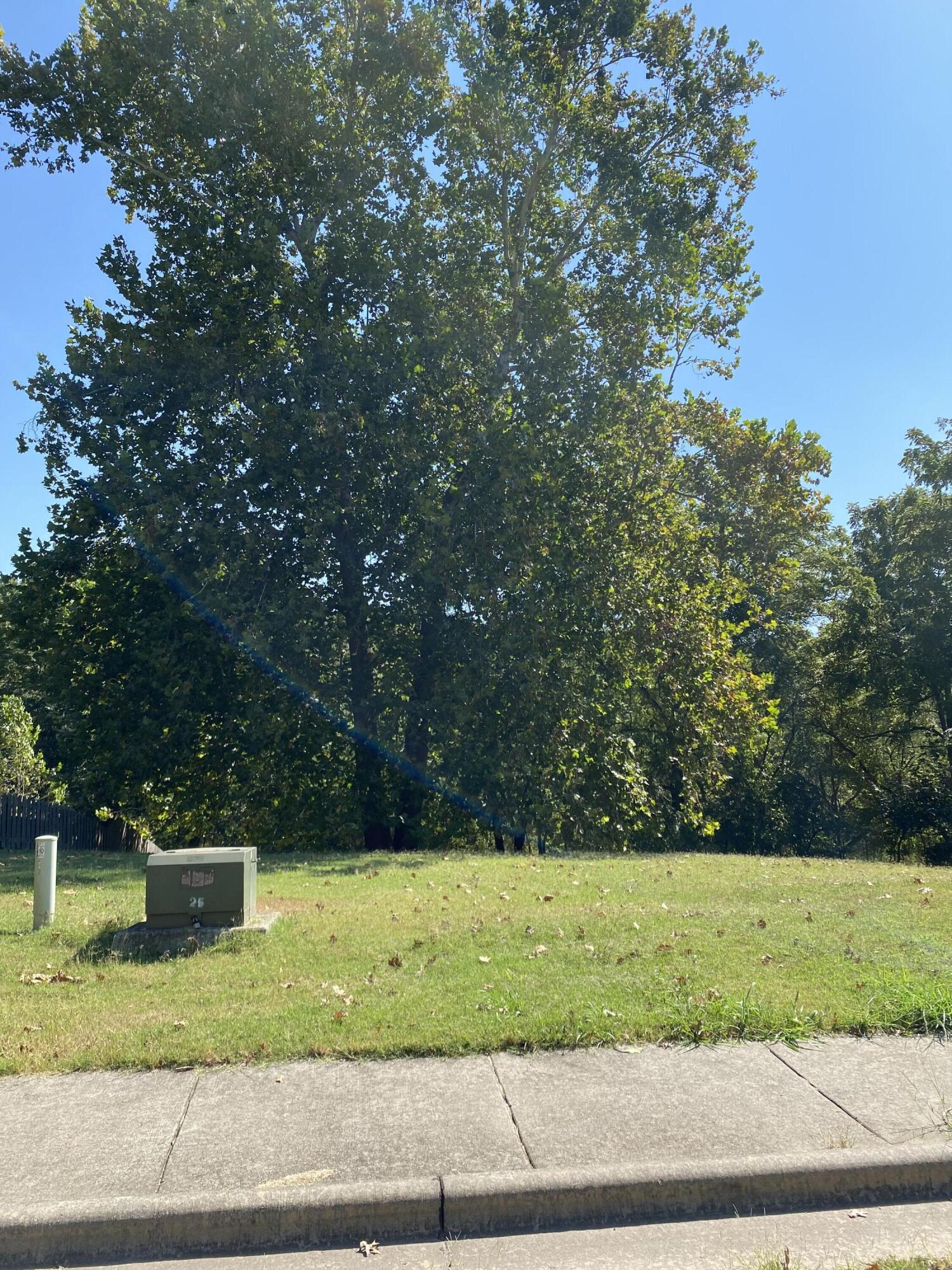 Photo 2 - Land for sale – 6082 S Thornwood Circle  Battlefield, MO
