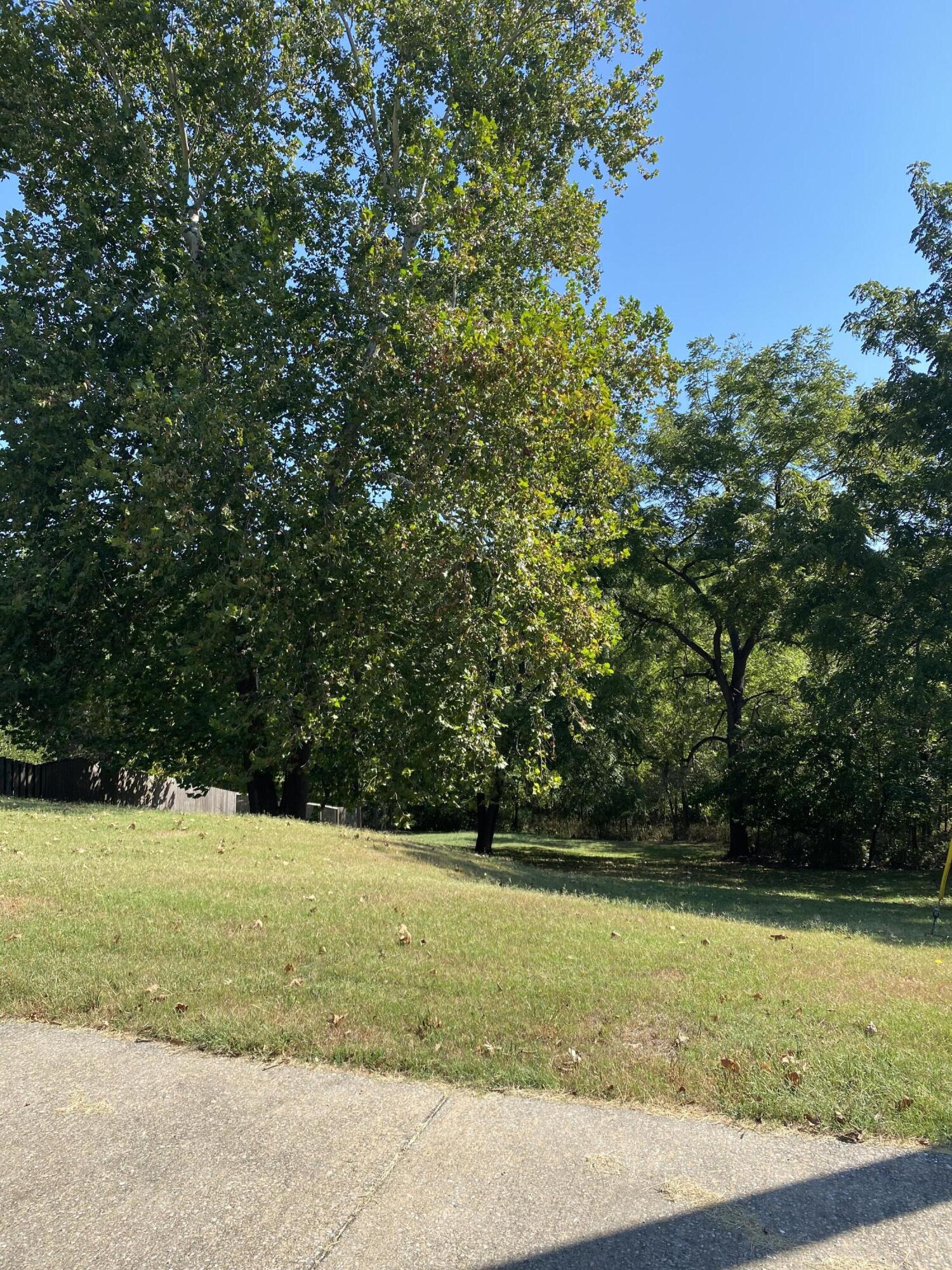 Photo 4 - Land for sale – 6082 S Thornwood Circle  Battlefield, MO