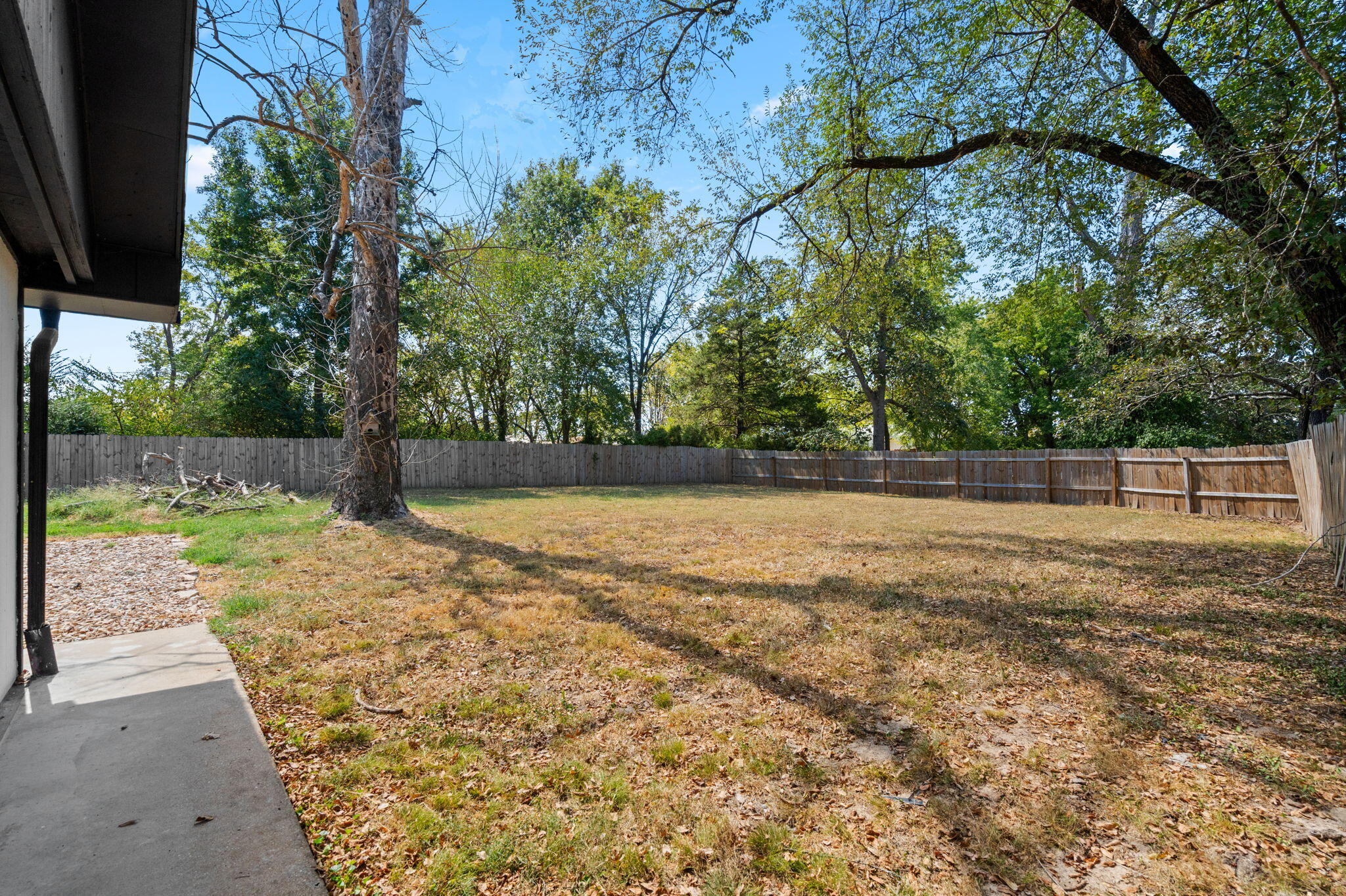 Photo 30 - Residential for sale – 221 N Hickory Street  Forsyth, MO