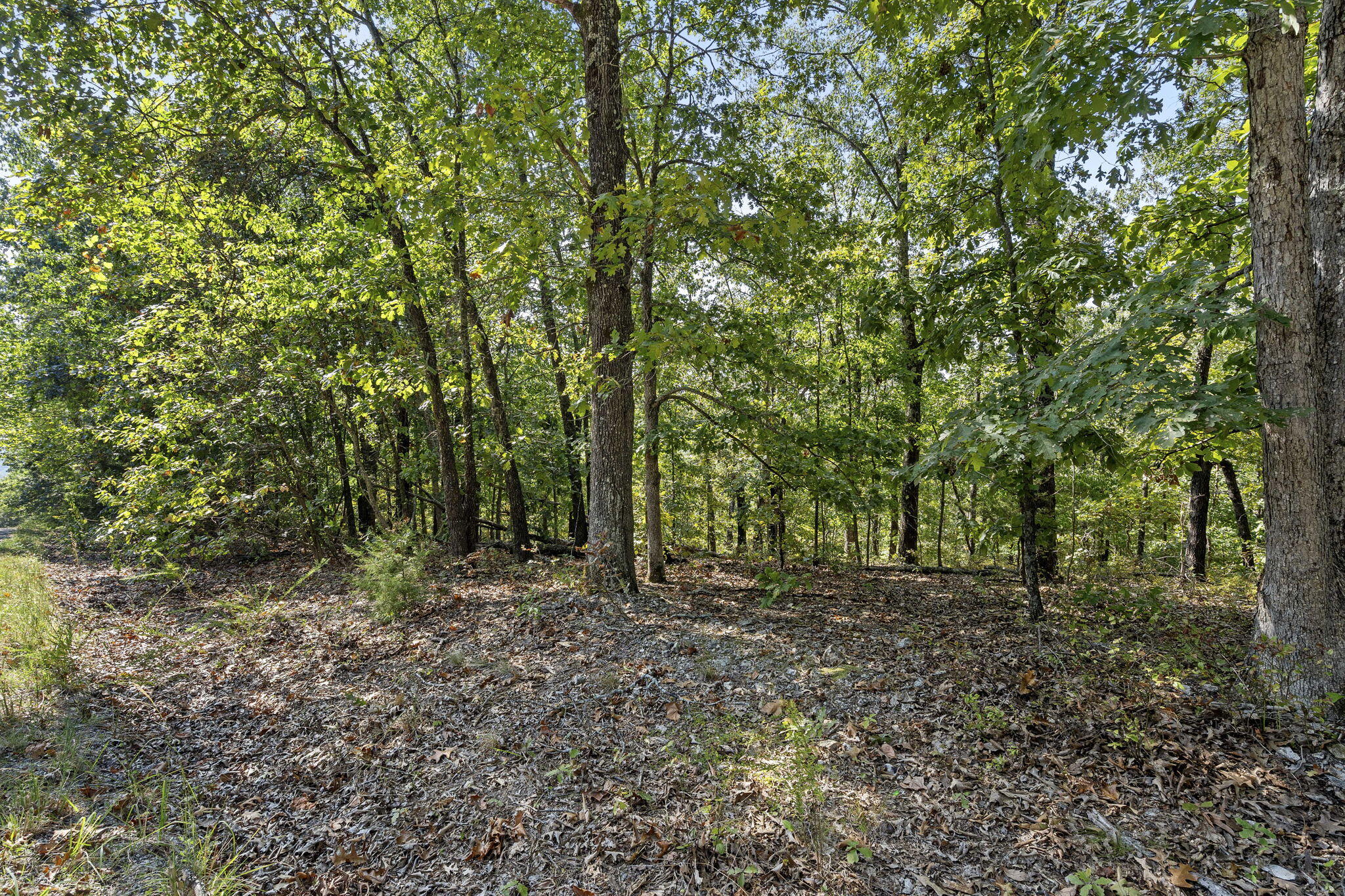 Photo 6 - Land for sale – Lot 120  Walnut Springs Drive  Cape Fair, MO