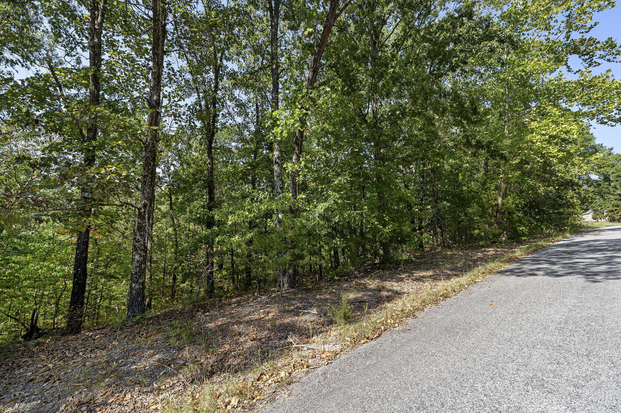 Photo 7 - Land for sale – Lot 120  Walnut Springs Drive  Cape Fair, MO