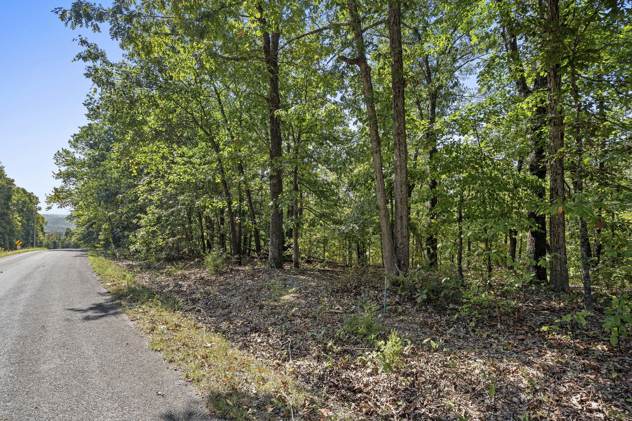 Photo 4 - Land for sale – Lot 120  Walnut Springs Drive  Cape Fair, MO