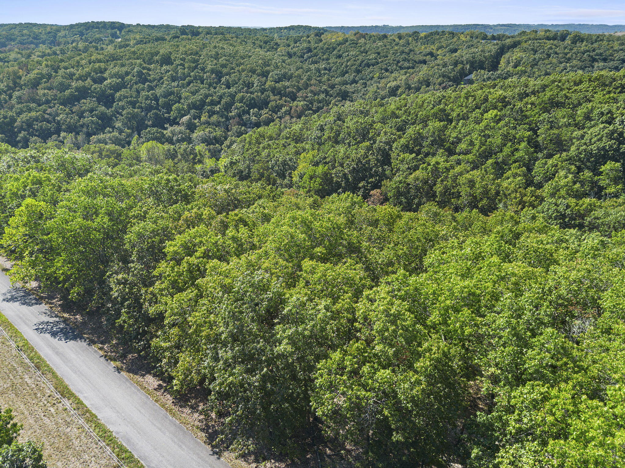 Photo 10 - Land for sale – Lot 120  Walnut Springs Drive  Cape Fair, MO