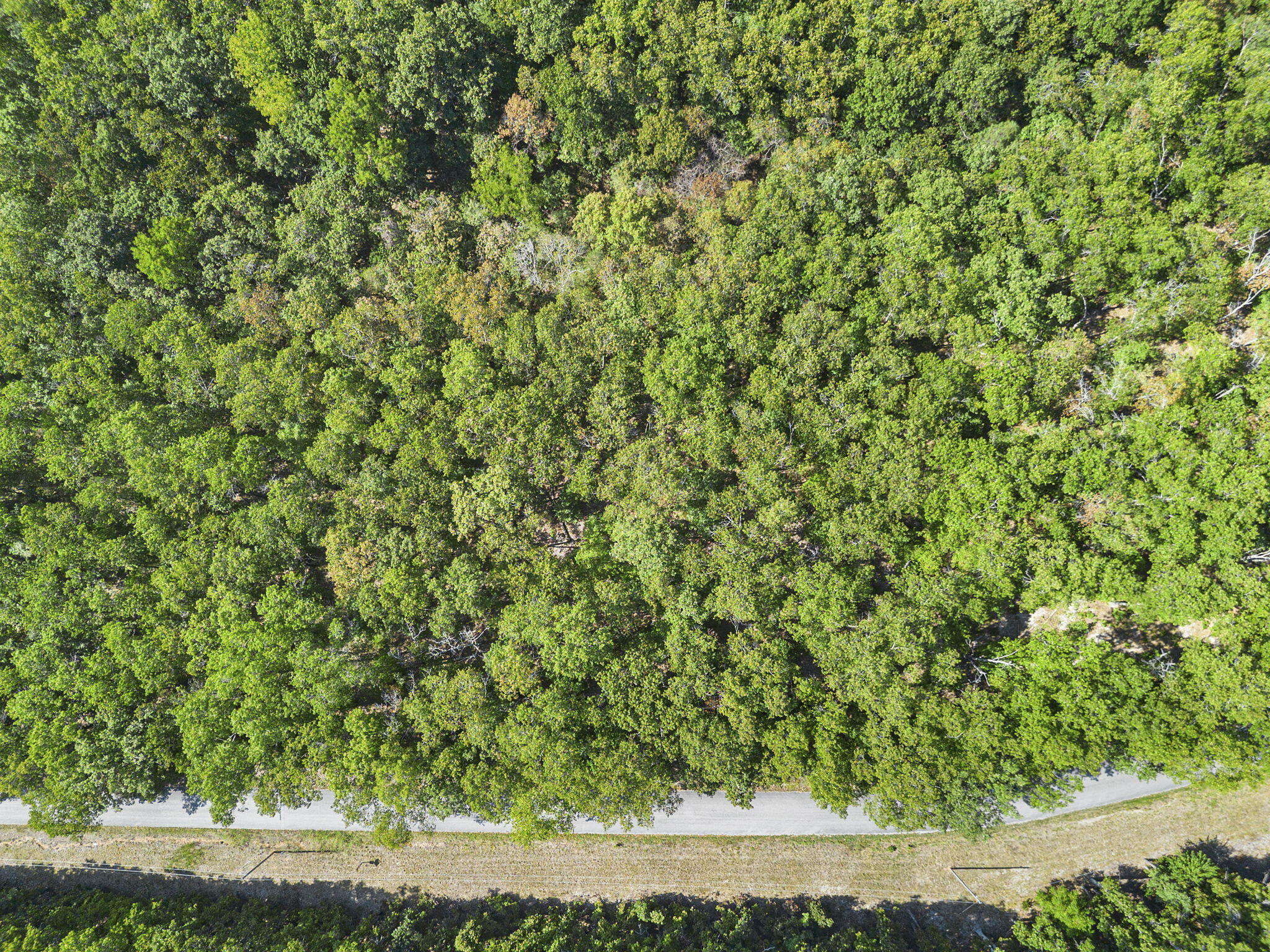 Photo 9 - Land for sale – Lot 120  Walnut Springs Drive  Cape Fair, MO