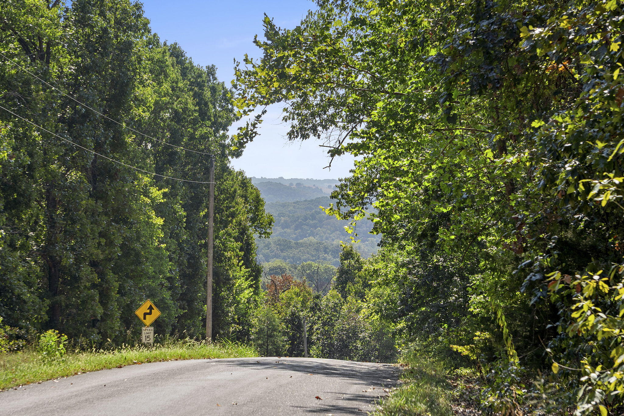 Photo 3 - Land for sale – Lot 120  Walnut Springs Drive  Cape Fair, MO