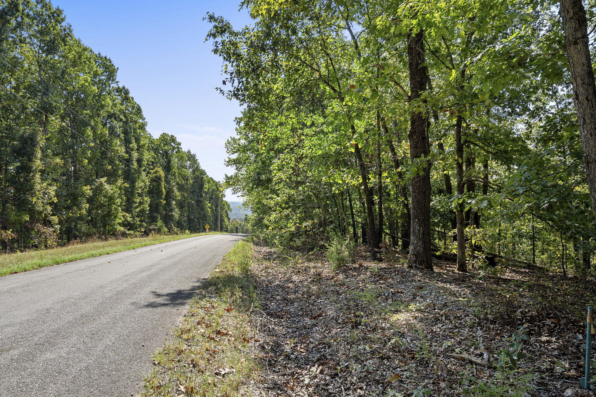 Photo 5 - Land for sale – Lot 120  Walnut Springs Drive  Cape Fair, MO