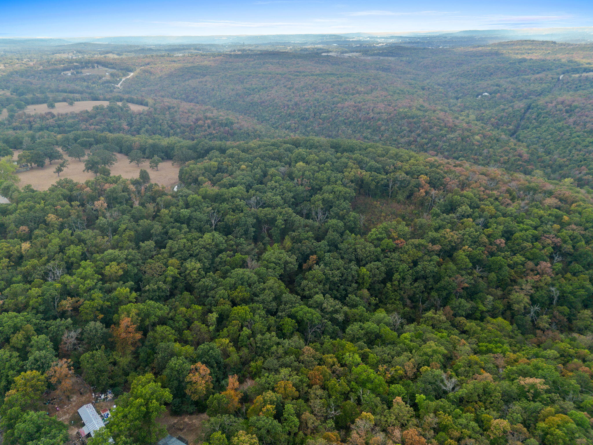 Photo 4 - Land for sale – 655  Rustic Acres Road  Kirbyville, MO