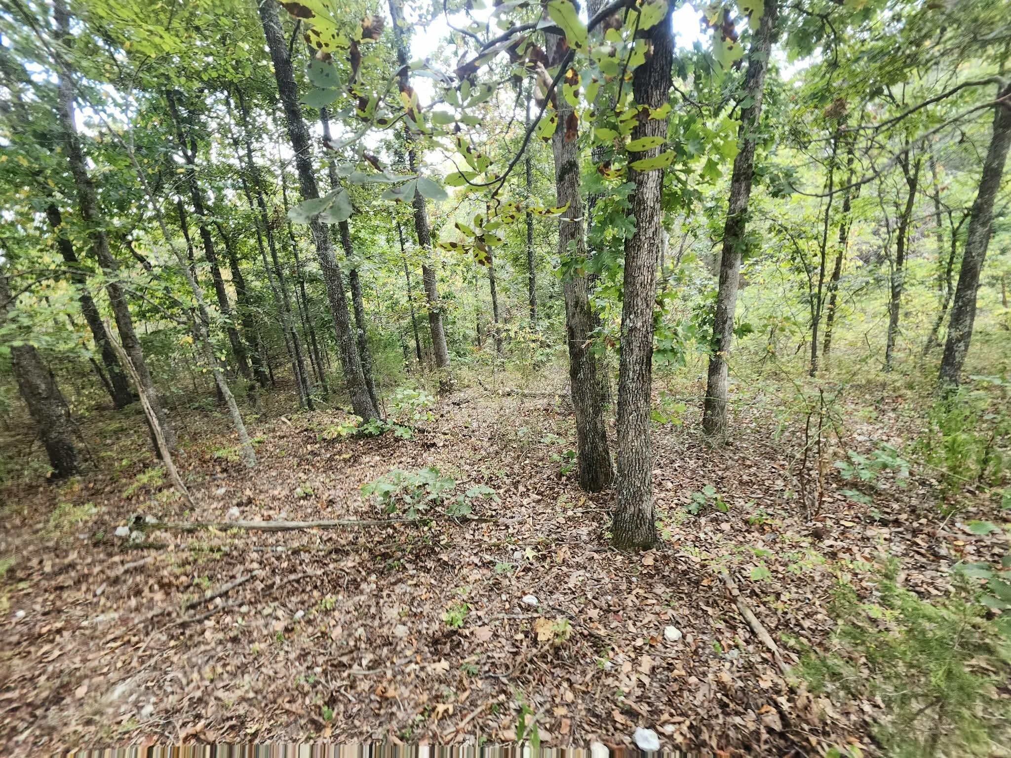 Photo 13 - Land for sale – Tbd  Old Hwy 60   Norwood, MO